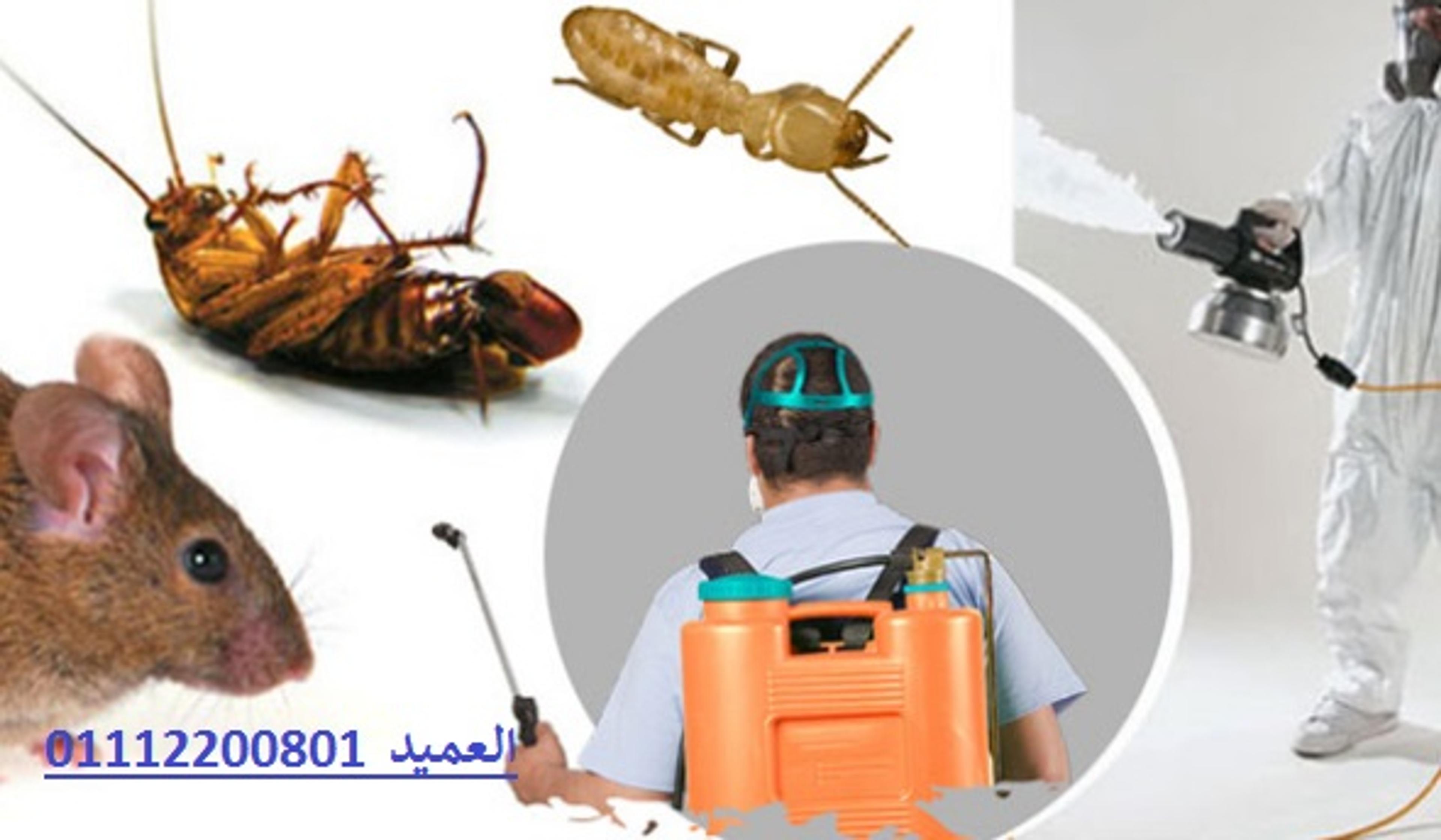 fc48b2f7-1a9a-40e5-89cd-592c4c235bbb.jpg