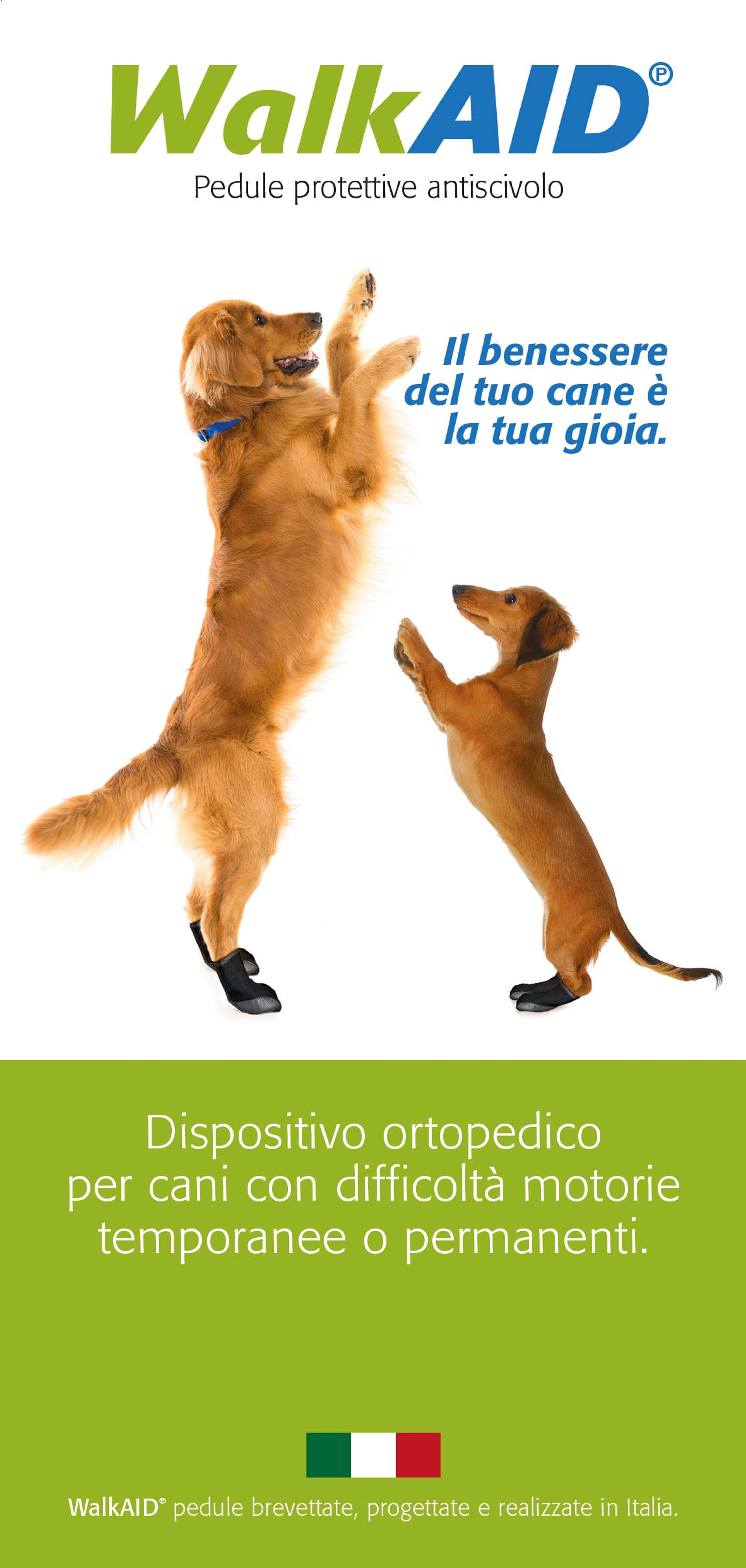 fc4bda6a-998c-40df-ad42-448dc7859b50.jpeg