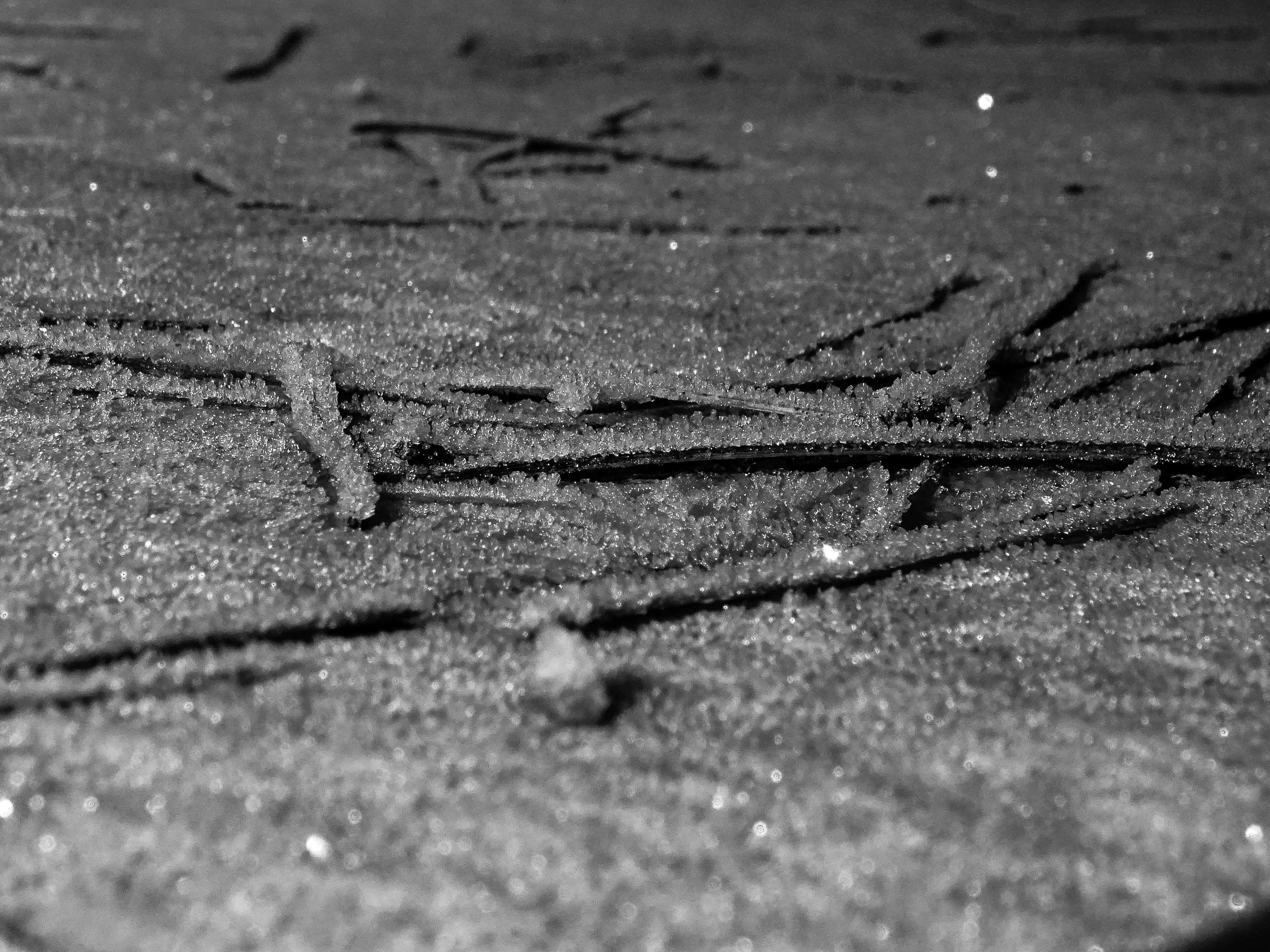 fc51f95e-68d7-4600-8d85-a2637746f556.jpeg