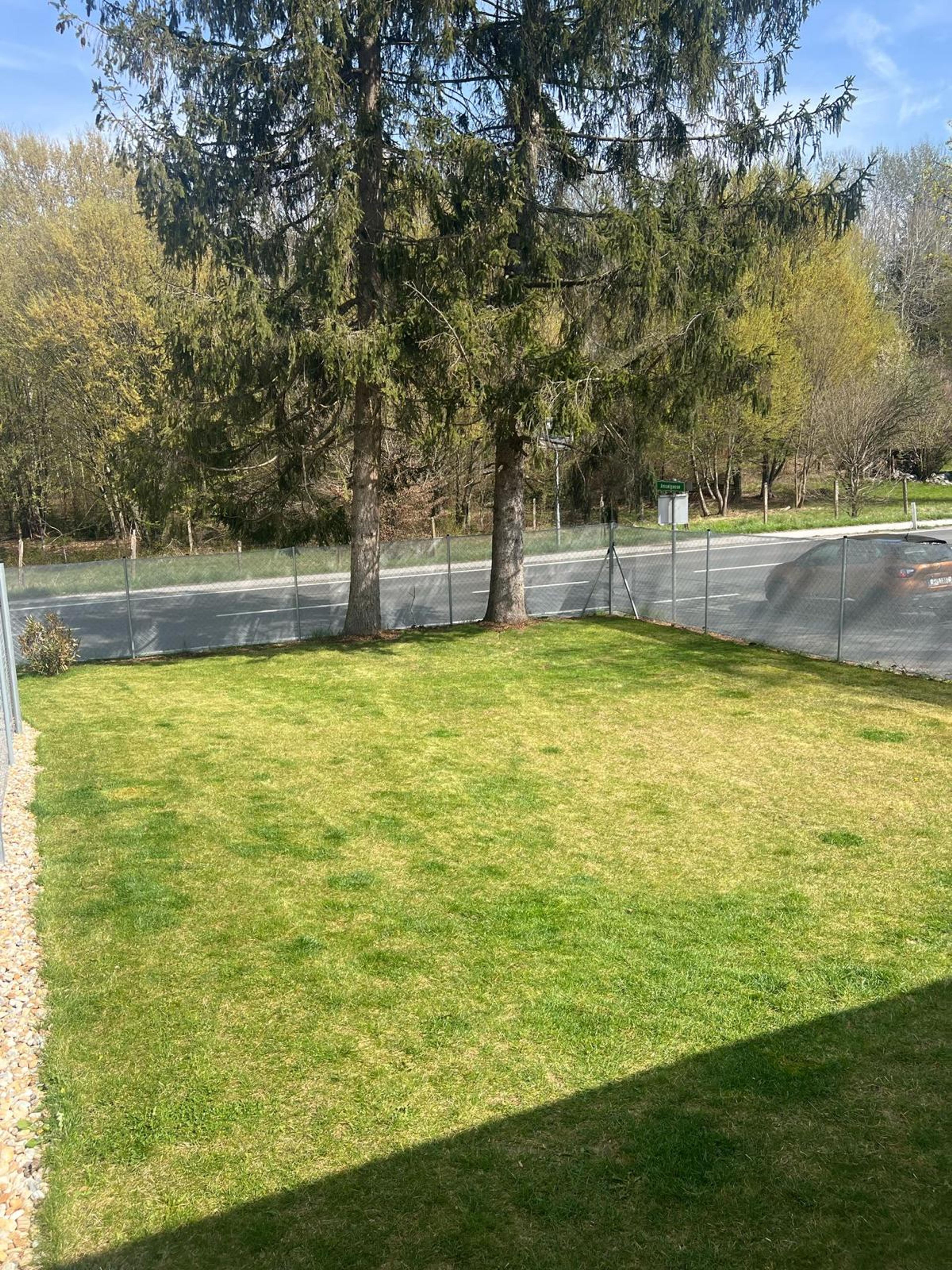 fcc3d600-e88b-4a44-9a6e-6b6a94059453.jpeg
