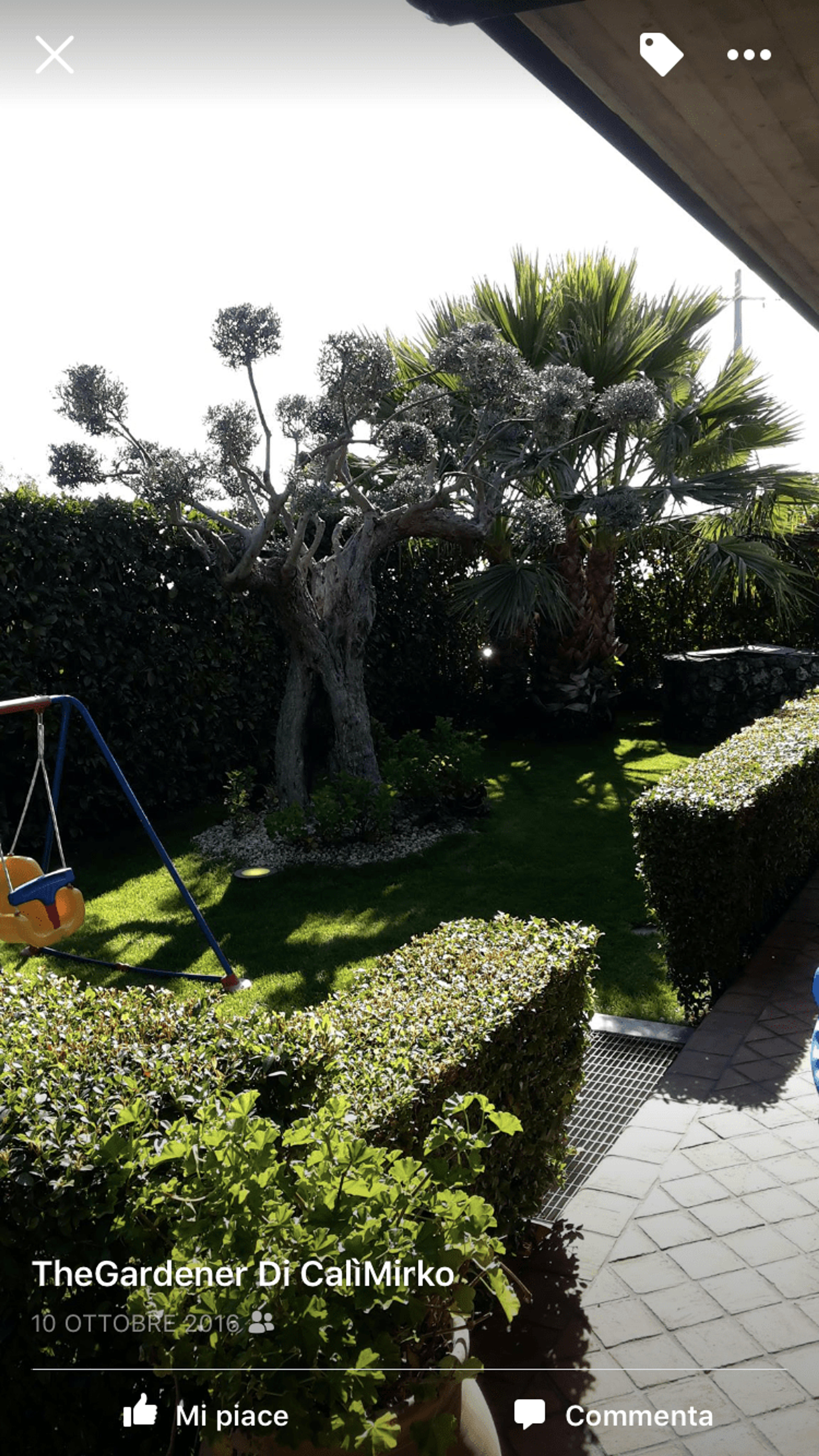 fcc6d3f5-0c50-48be-bf91-d95e38d61d55.png