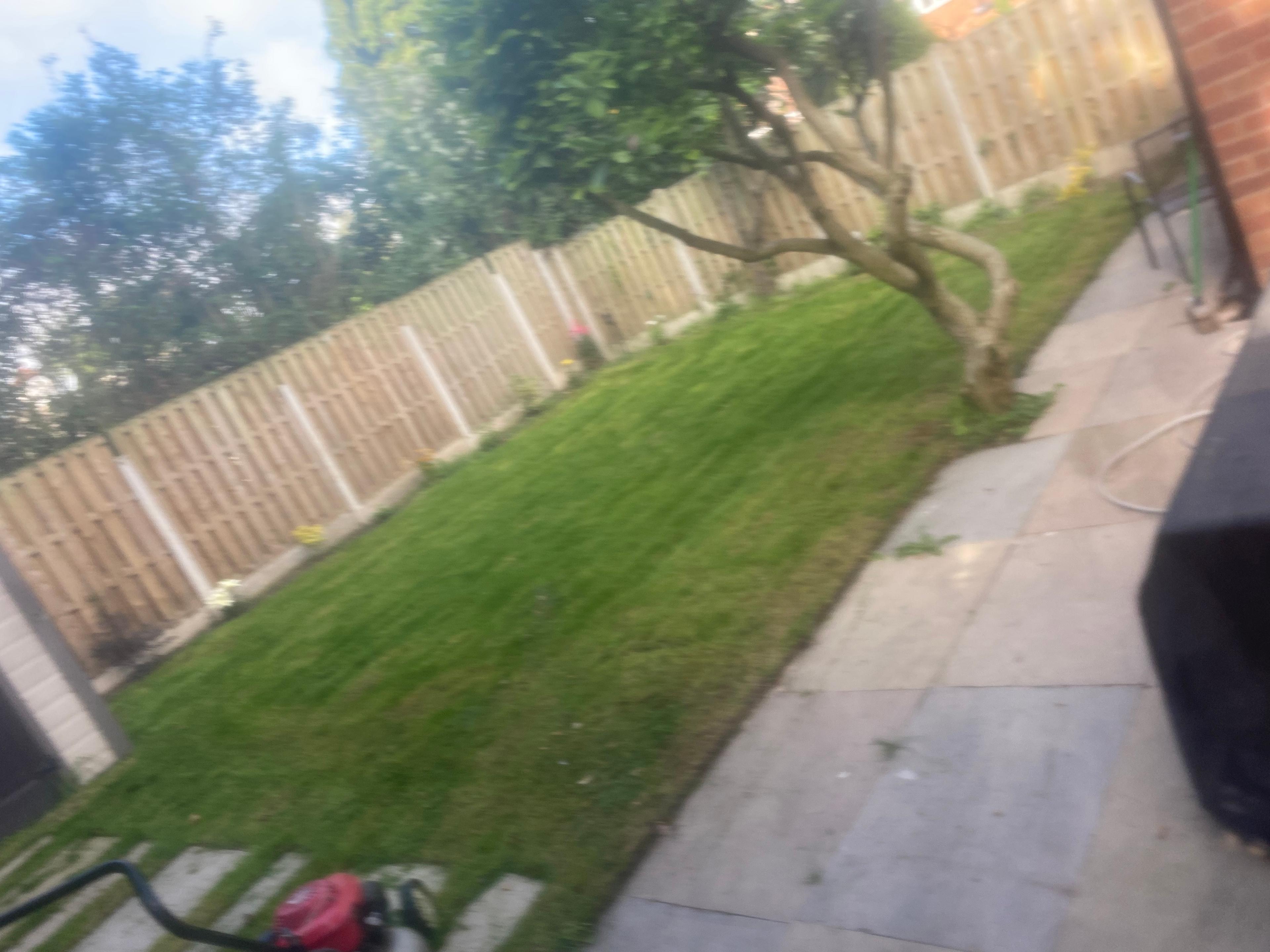 fcfd4399-7ea7-46bd-af02-cc44d9590021.jpeg