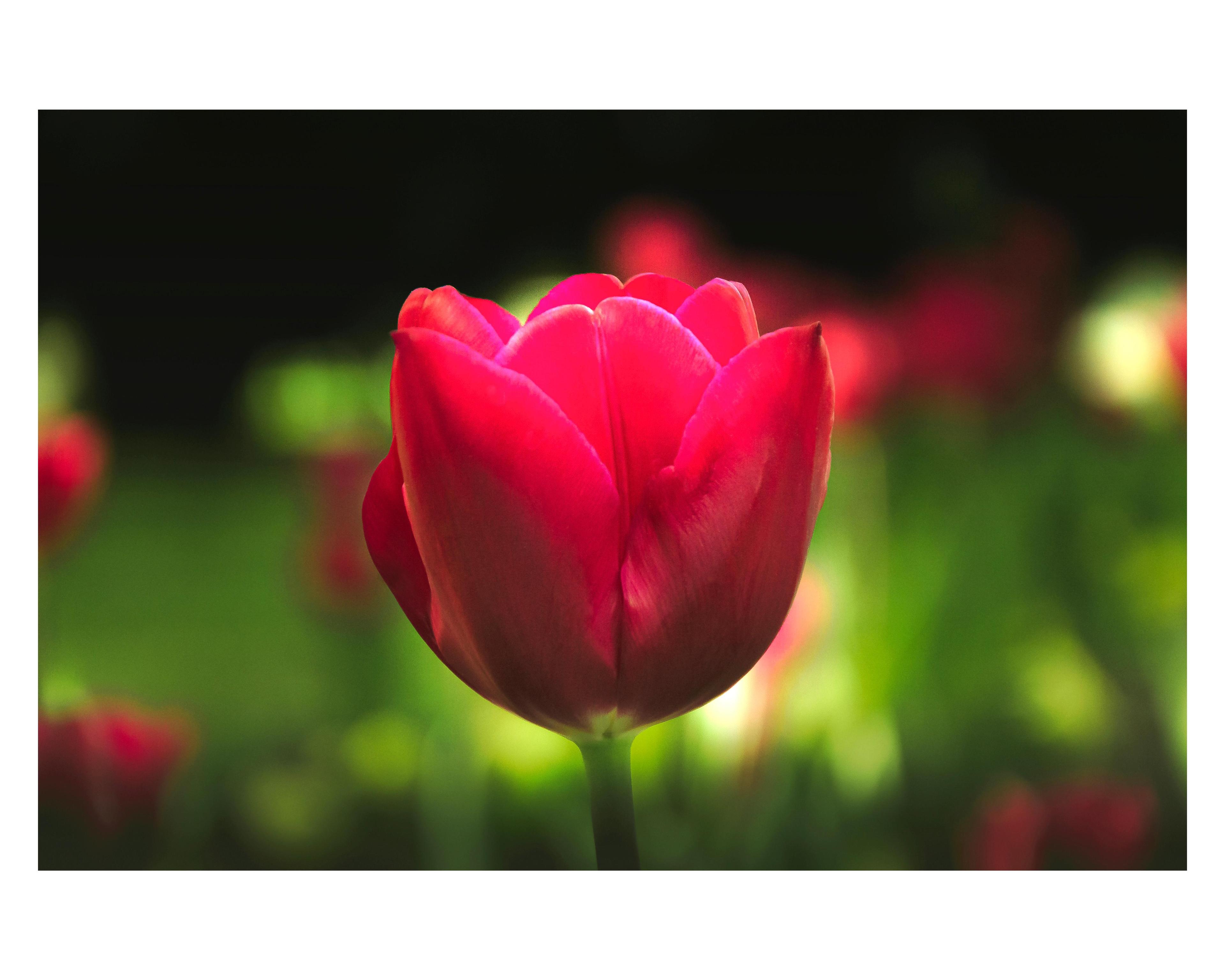 fd170fd7-eabc-47ef-ba5a-45c29a0efd0a.jpeg