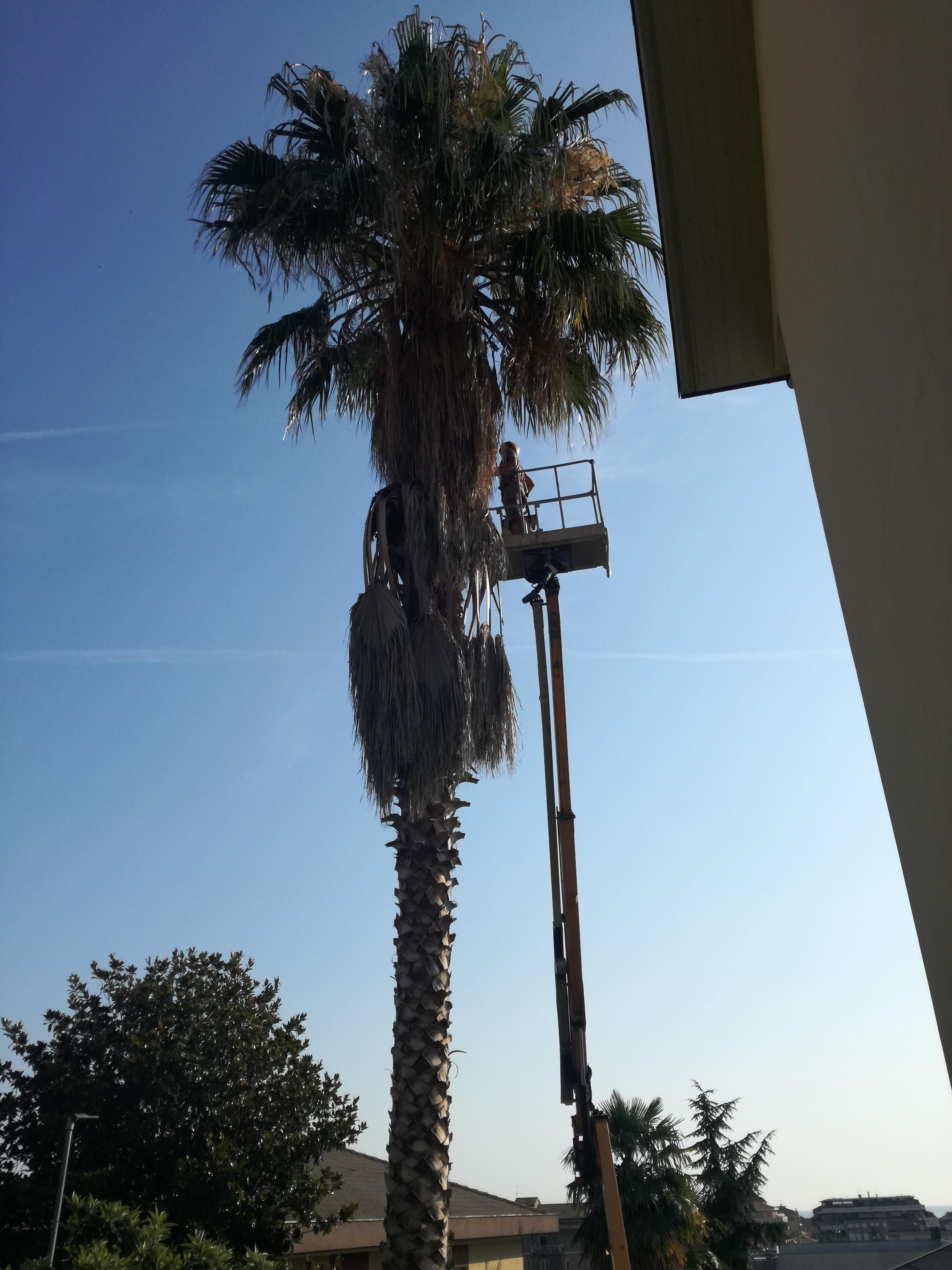fd18ce62-1b06-4112-bdb1-1a0bcfbd7ecb.jpeg