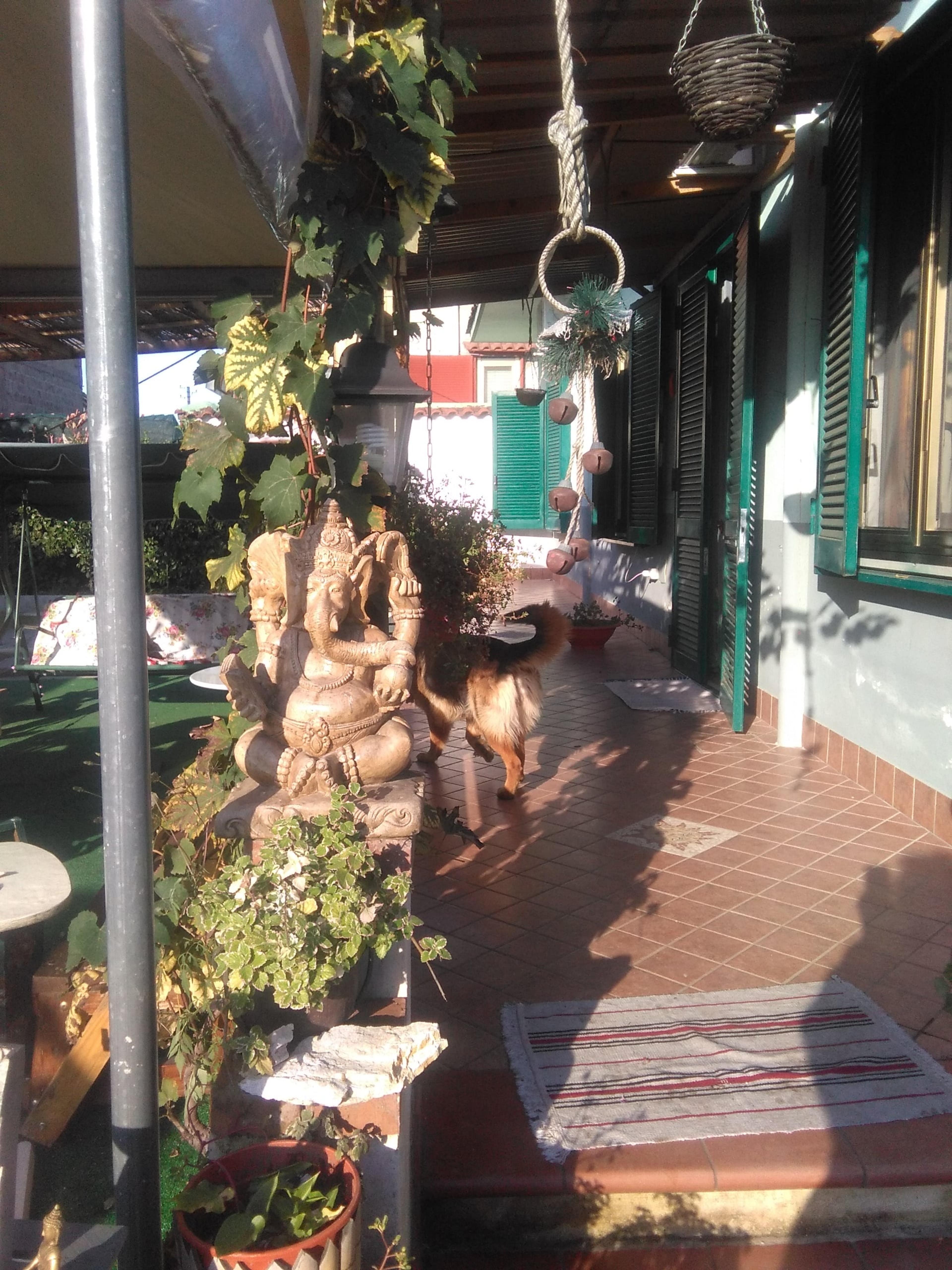 fd2976b4-cbb6-4bfa-82f2-ad30f8d45173.jpeg