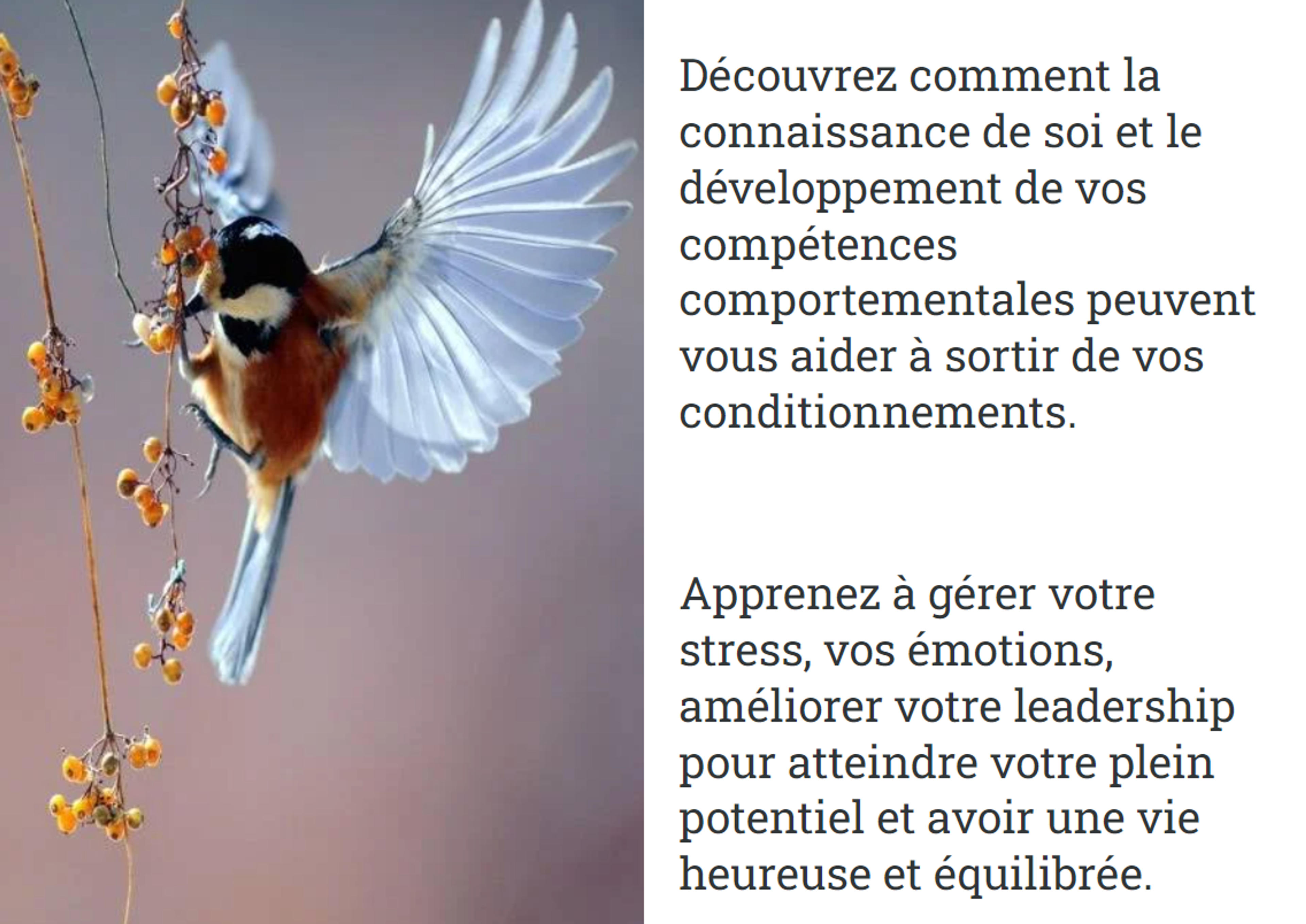 fd86edd8-bf0e-4af1-9859-12eec1b51fa7.png