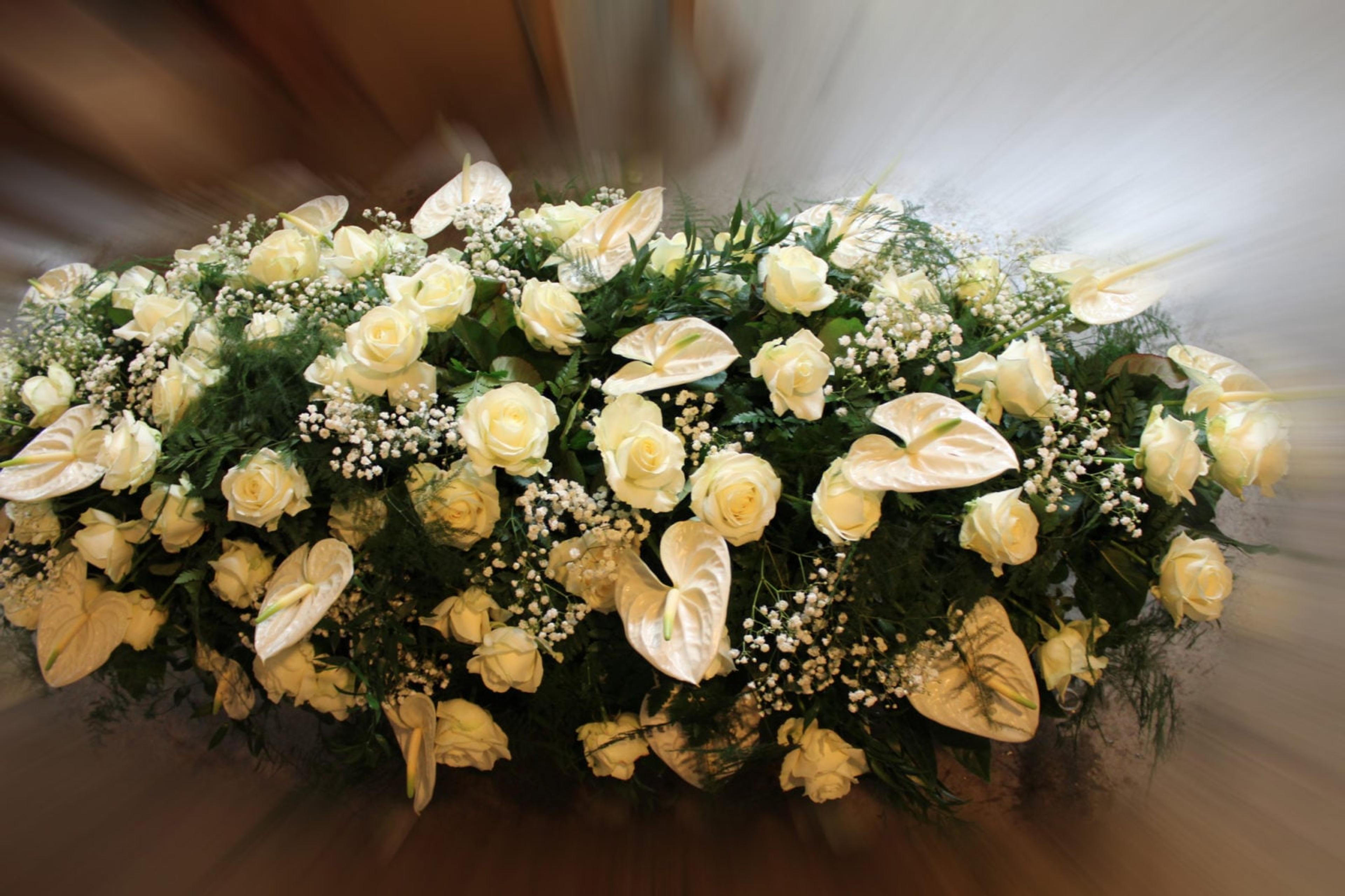 fe3511bd-9d8f-43d9-96e2-b331f44005c0.jpeg