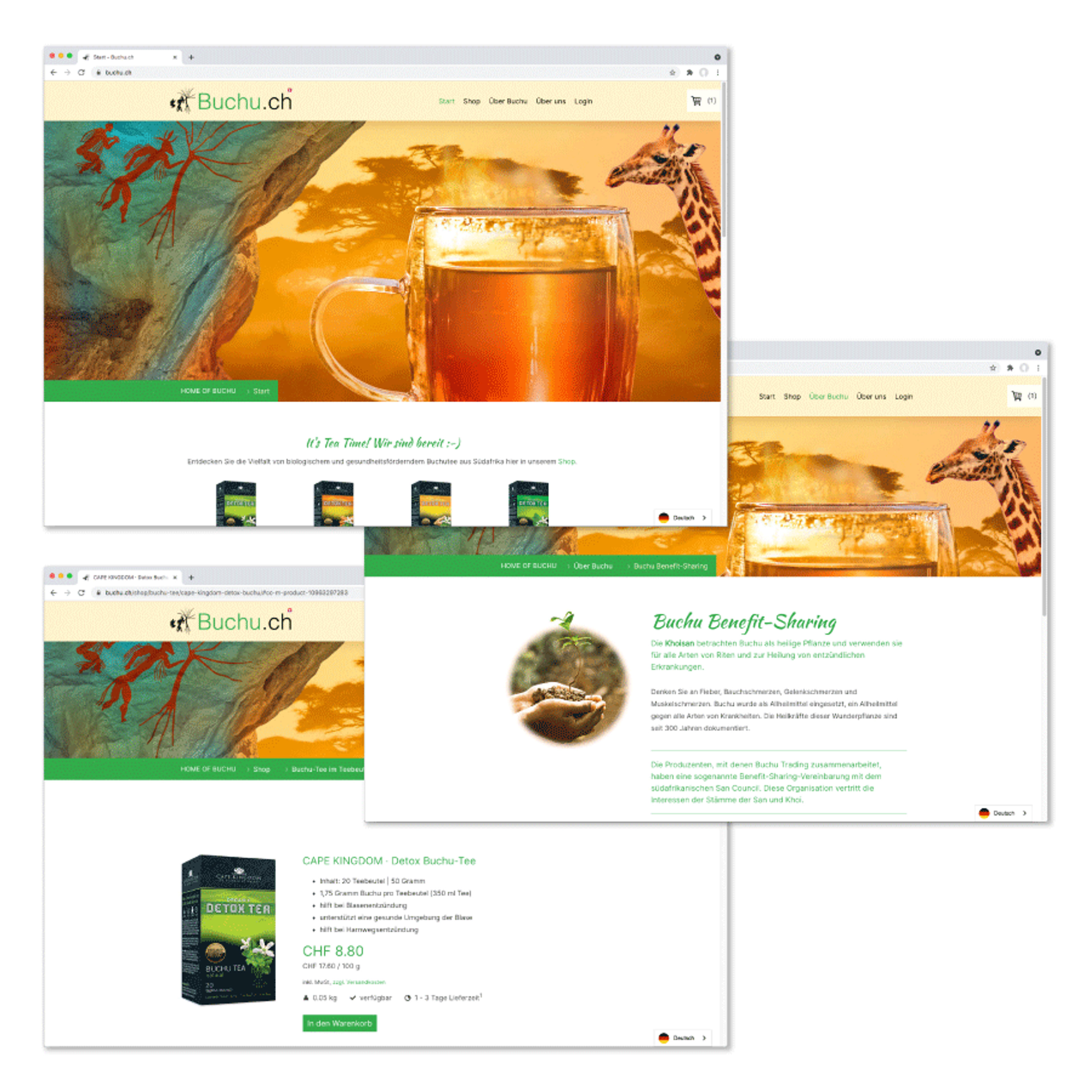 fe3838fc-4cbd-4693-a2ce-d603cb192993.png