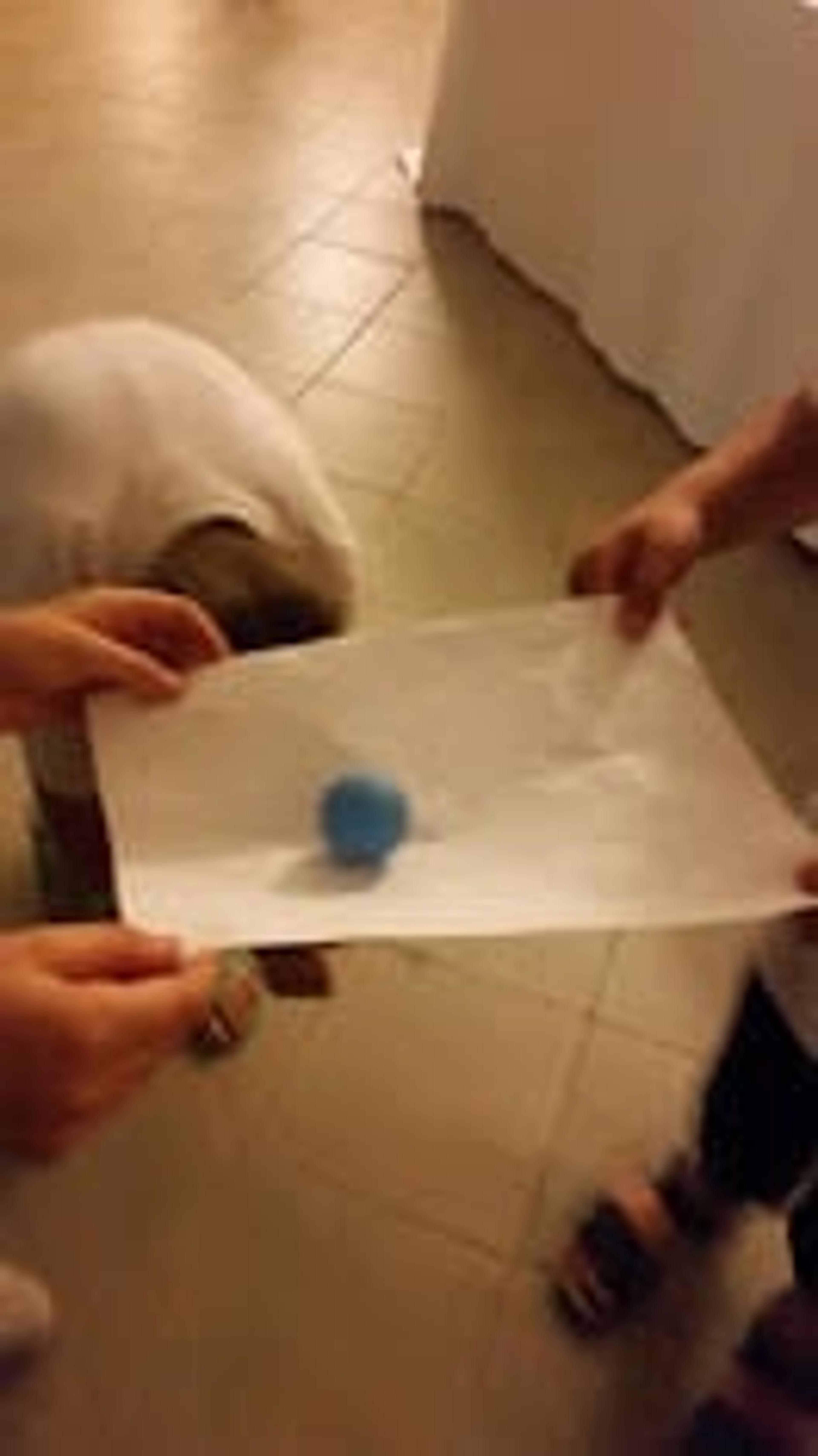 fec7e57c-e813-4fe9-8621-6eed06da5f47.jpeg