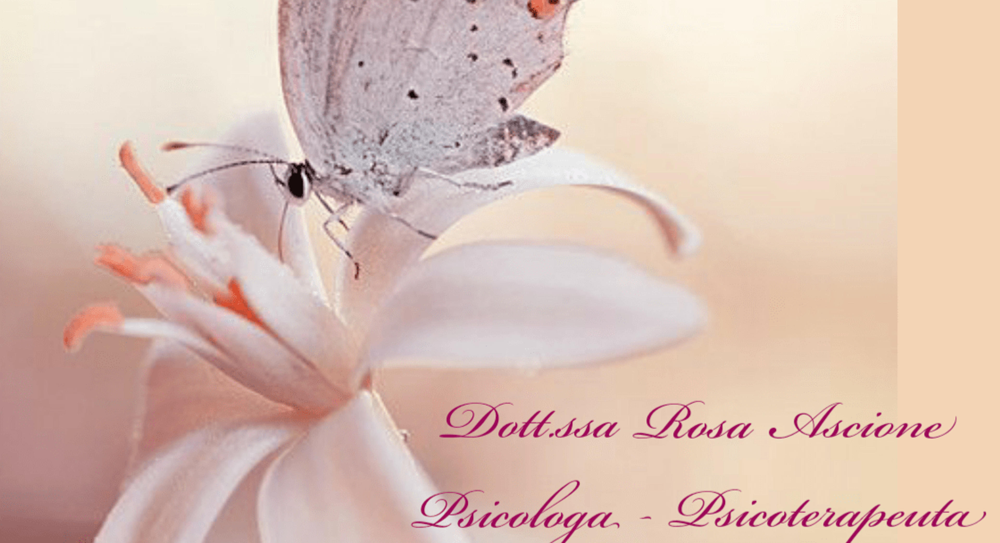 feca84bc-356a-4414-b20d-01b0ca41946f.png