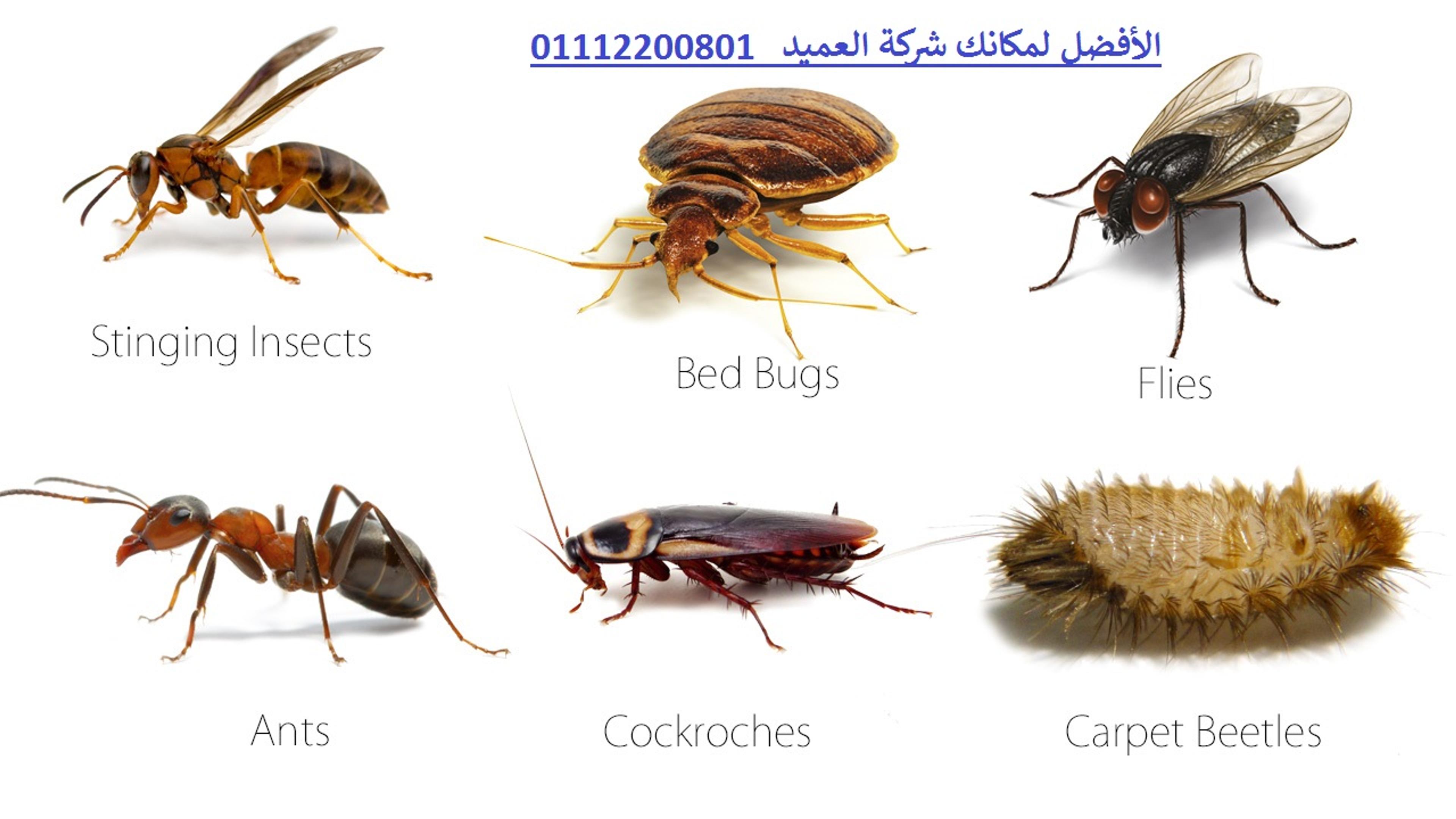 ffe2438d-5ee3-4606-9b91-40daac0757c7.jpg