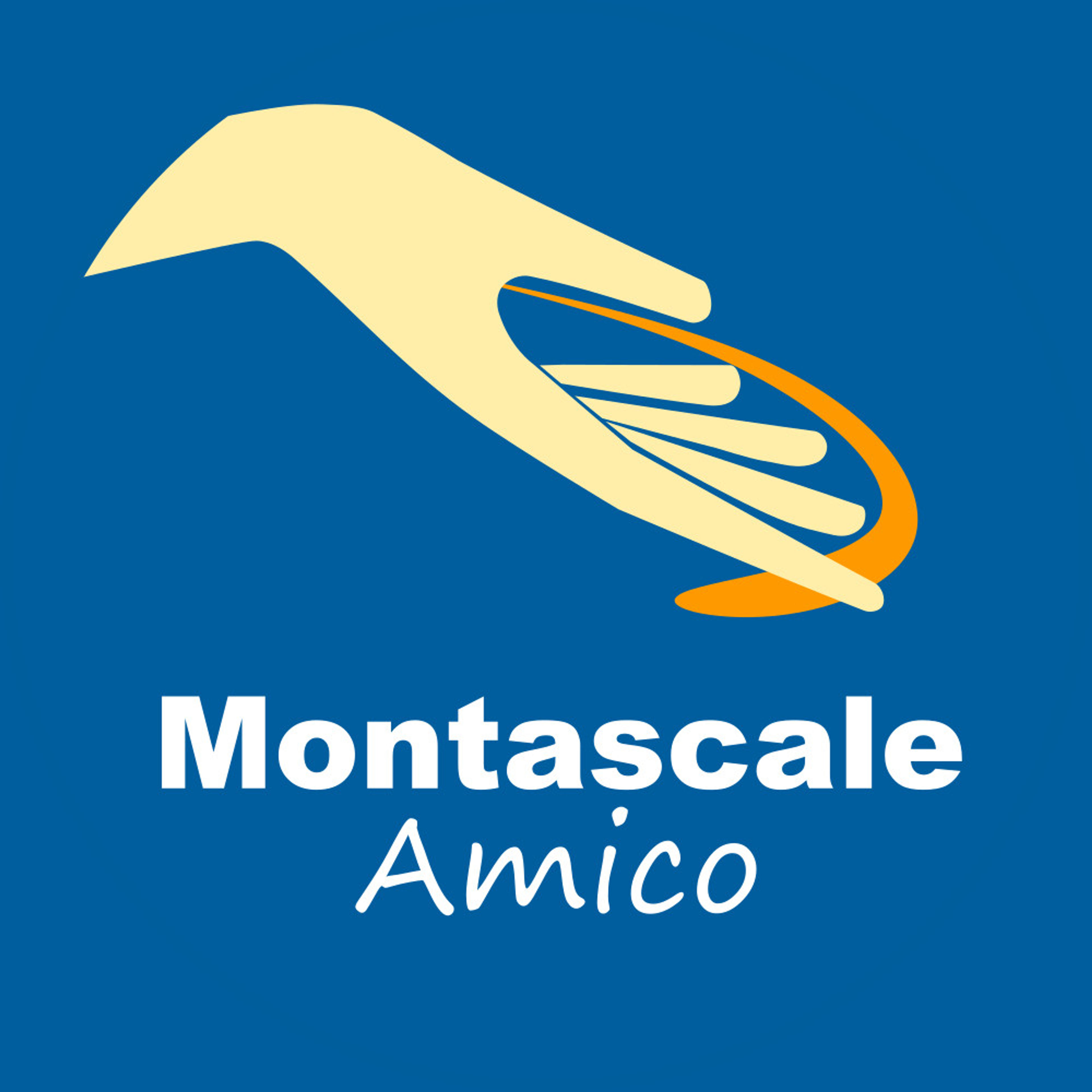 Montascale Amico