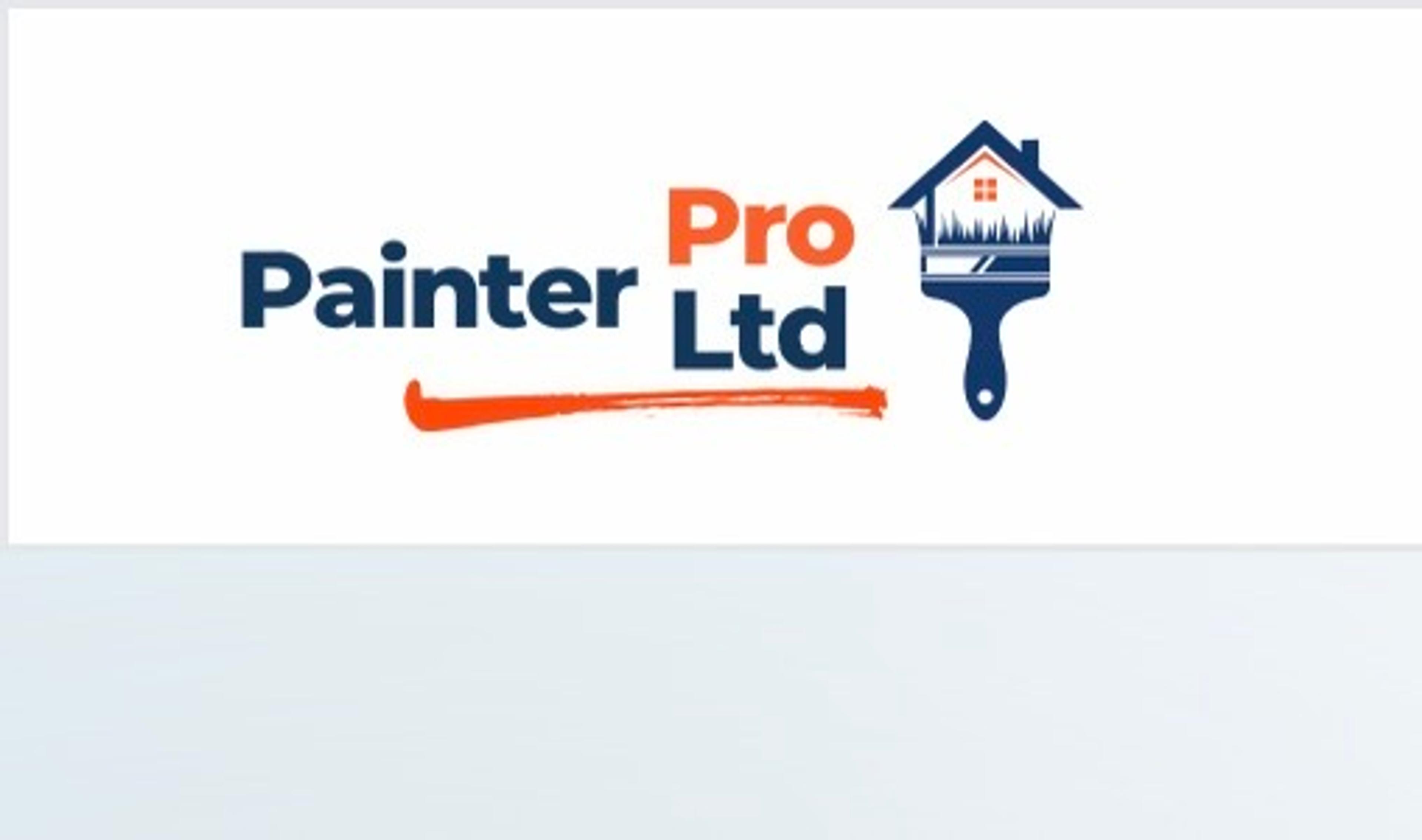 PAINTER PRO LTD
