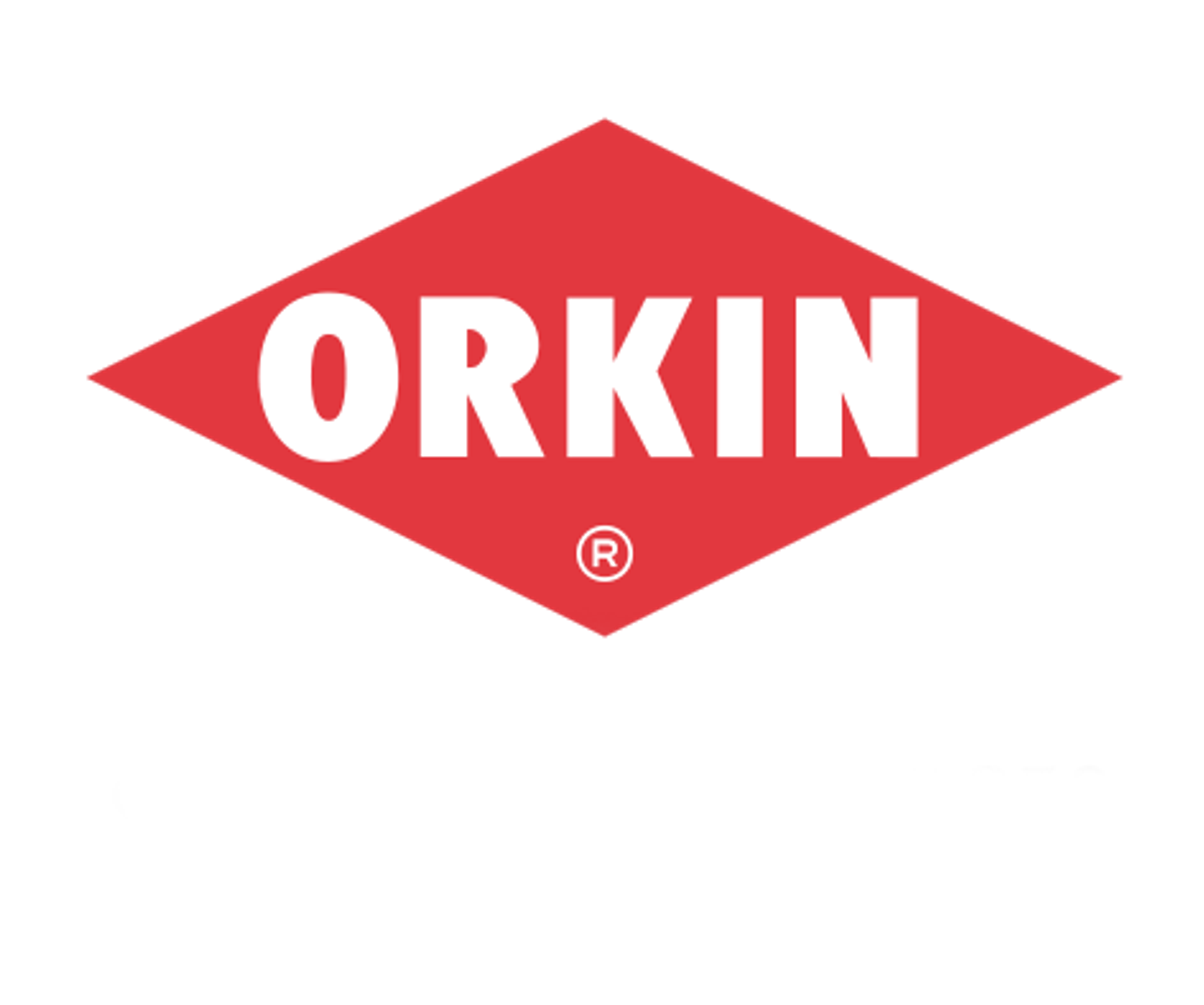 Orkin Egypt for pest control اوركين ايجيبت لمكافحة الأفات
