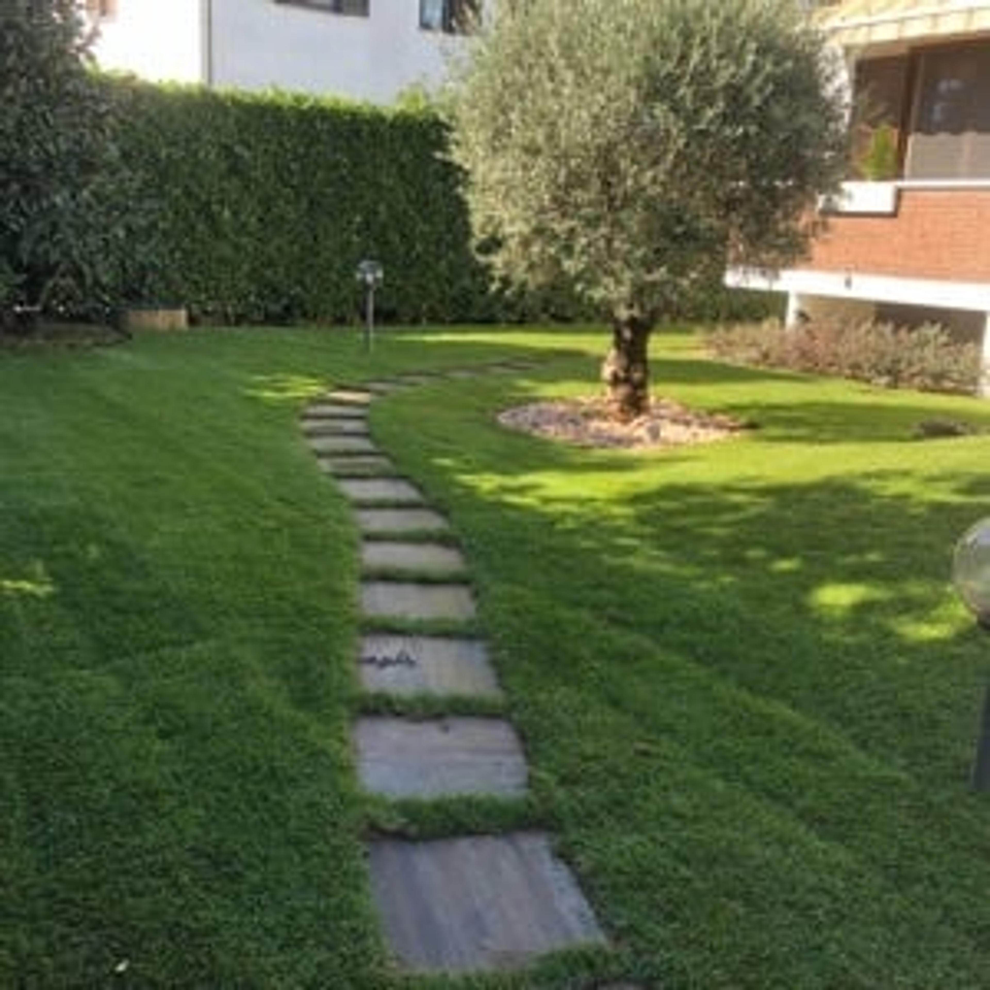 Andrea Morgese