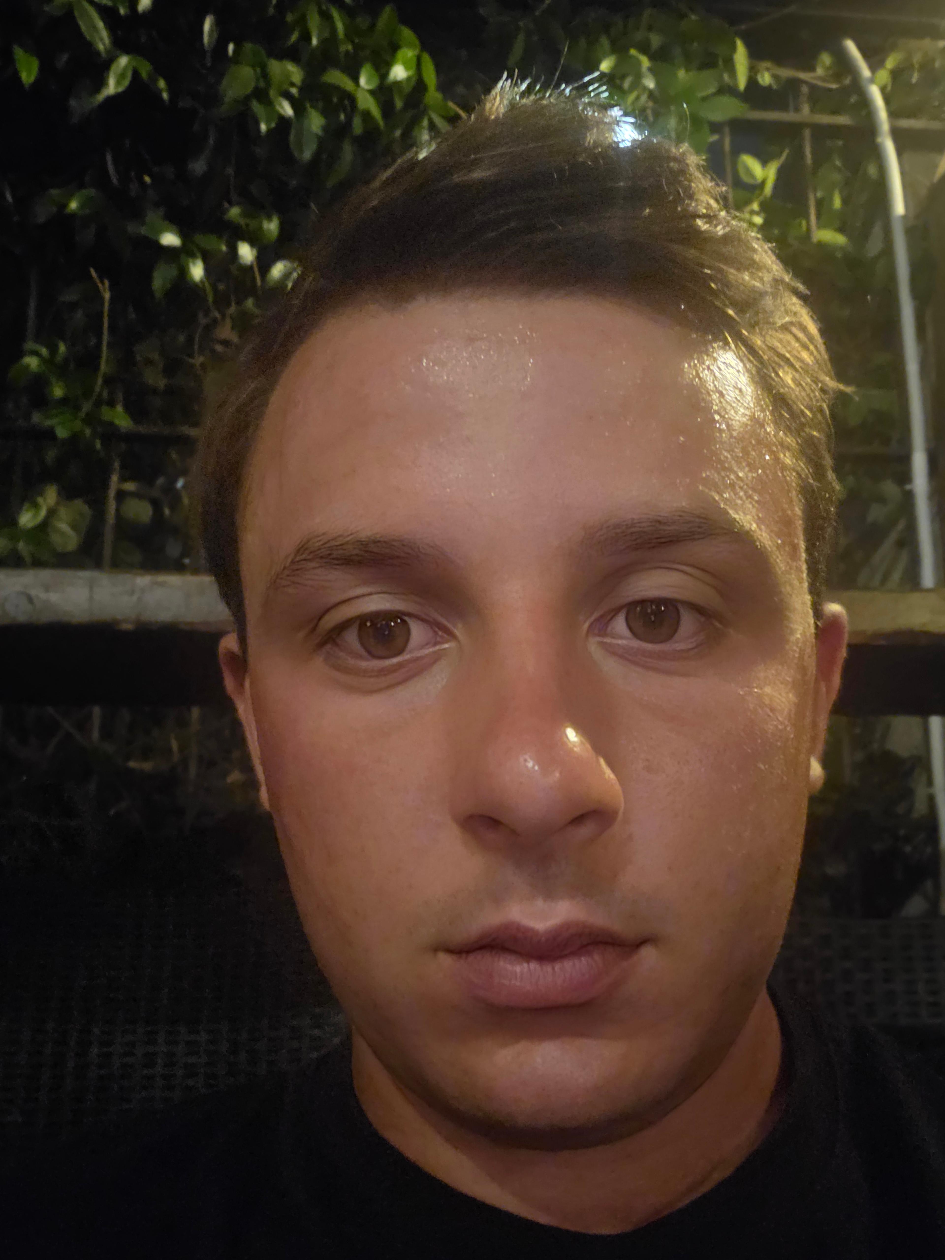 Foglia E Radice