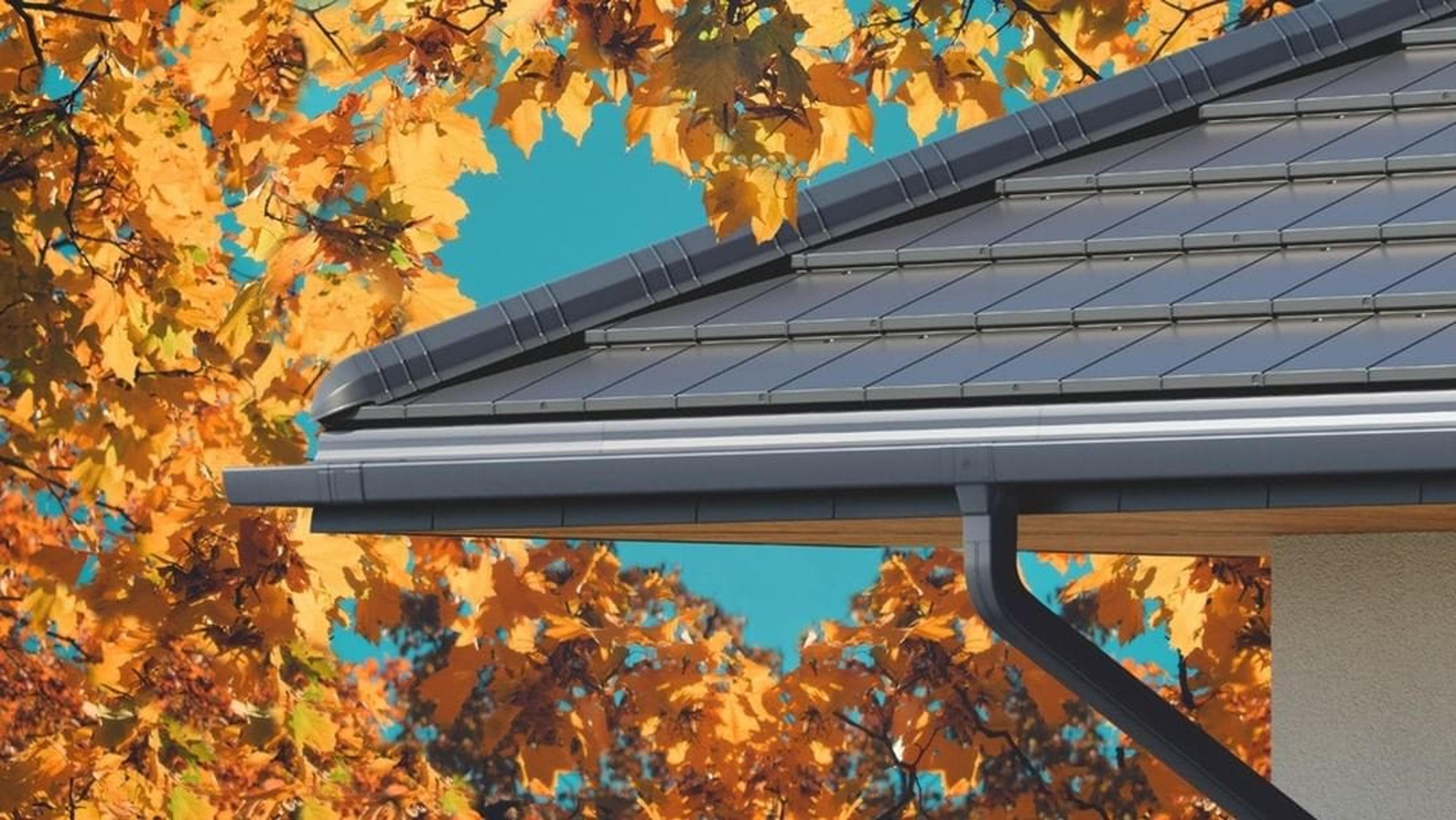 INVESTAL TETŐDOKTOR ÉPÍTŐ ÉS KIVITELEZŐ Kft