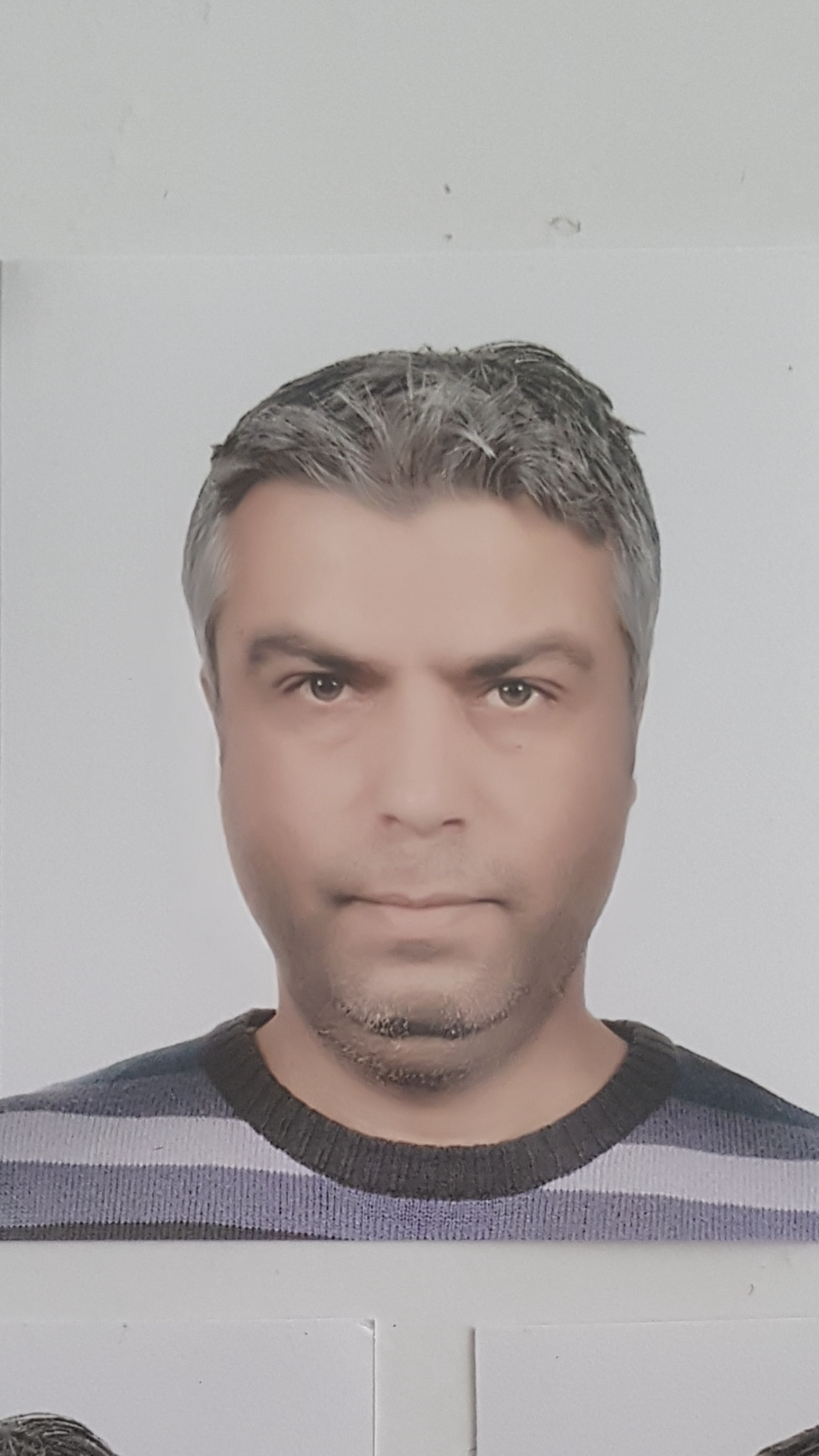 Birol Menekşe