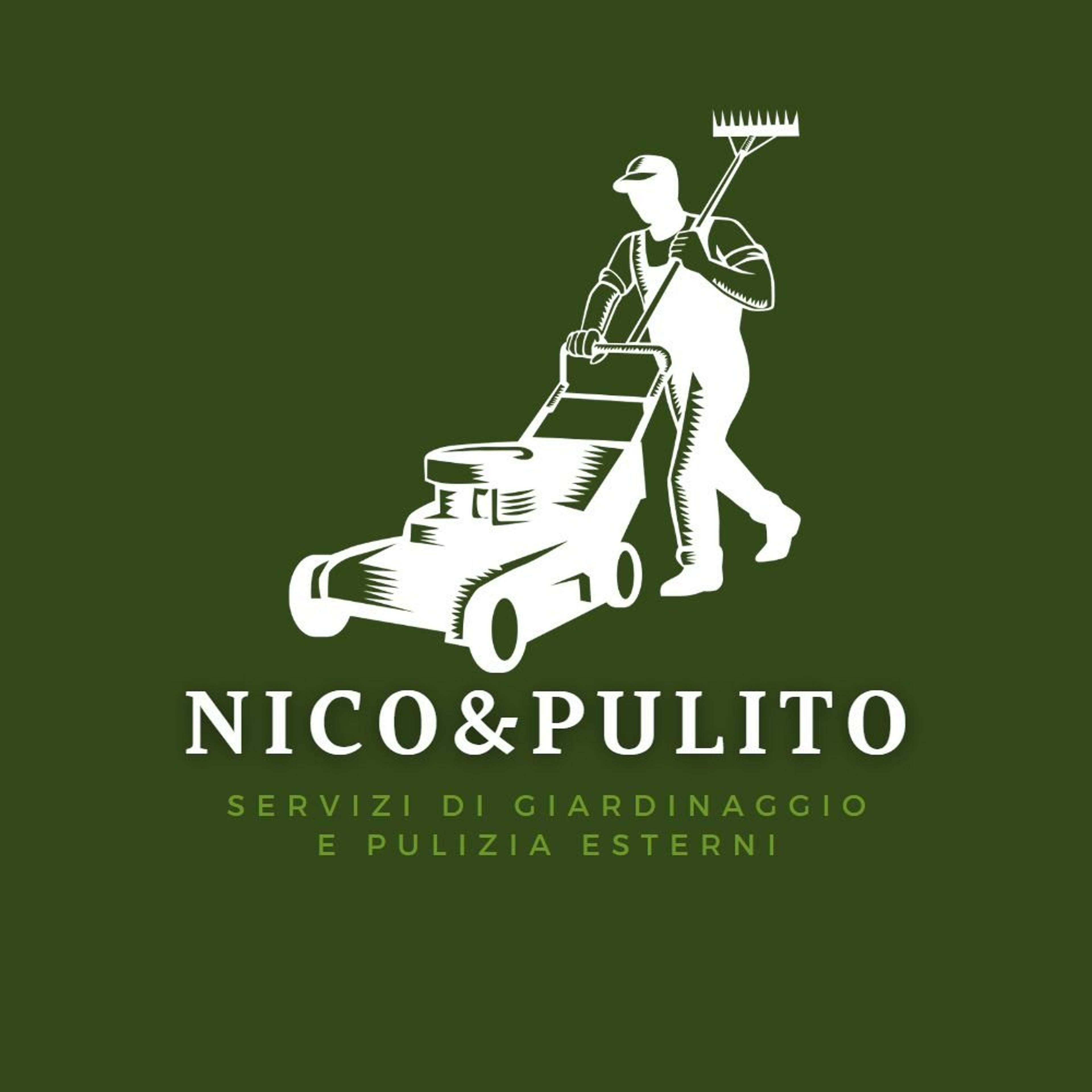 Niccolò Di Chiara