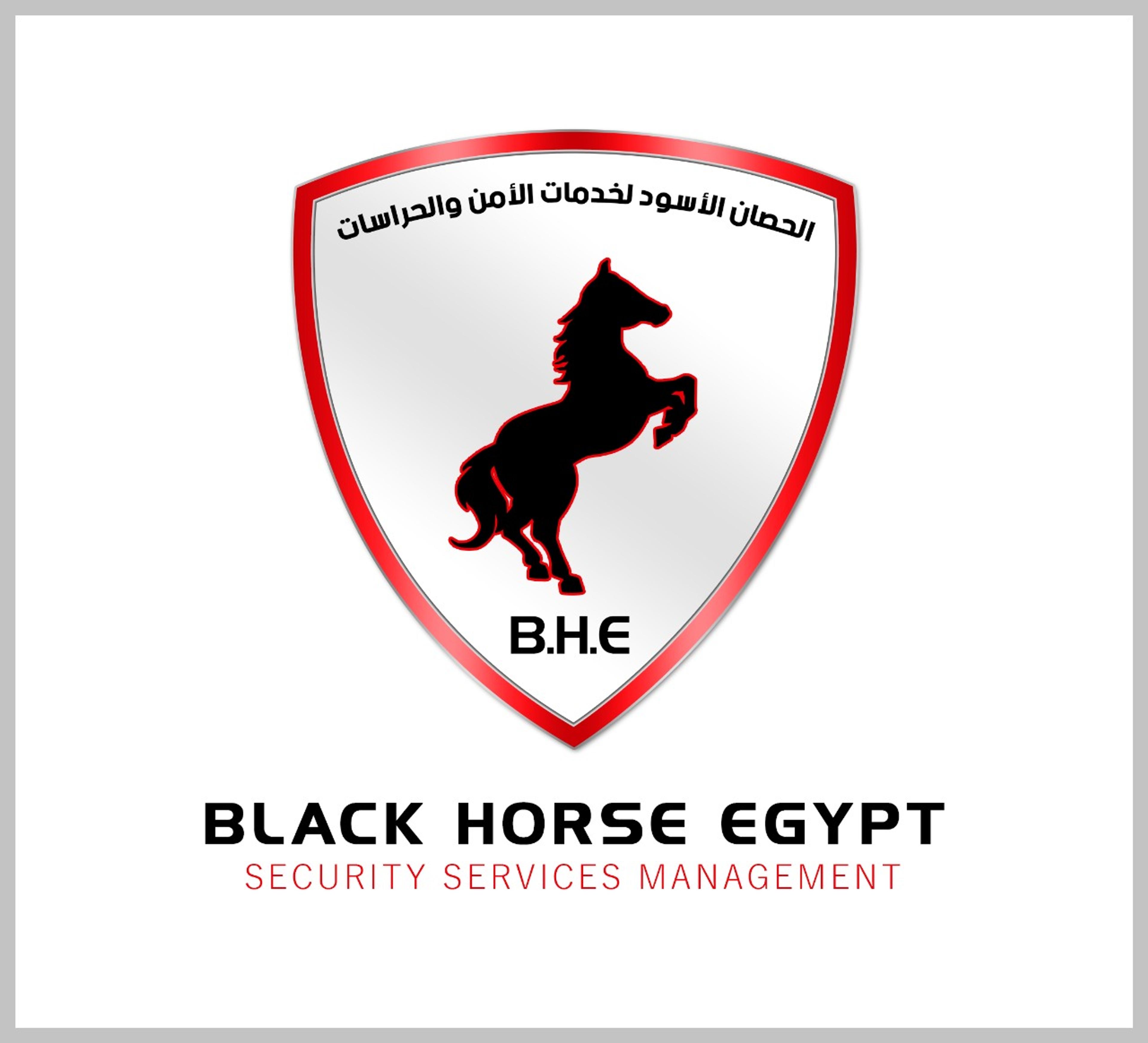 Black horse egypt