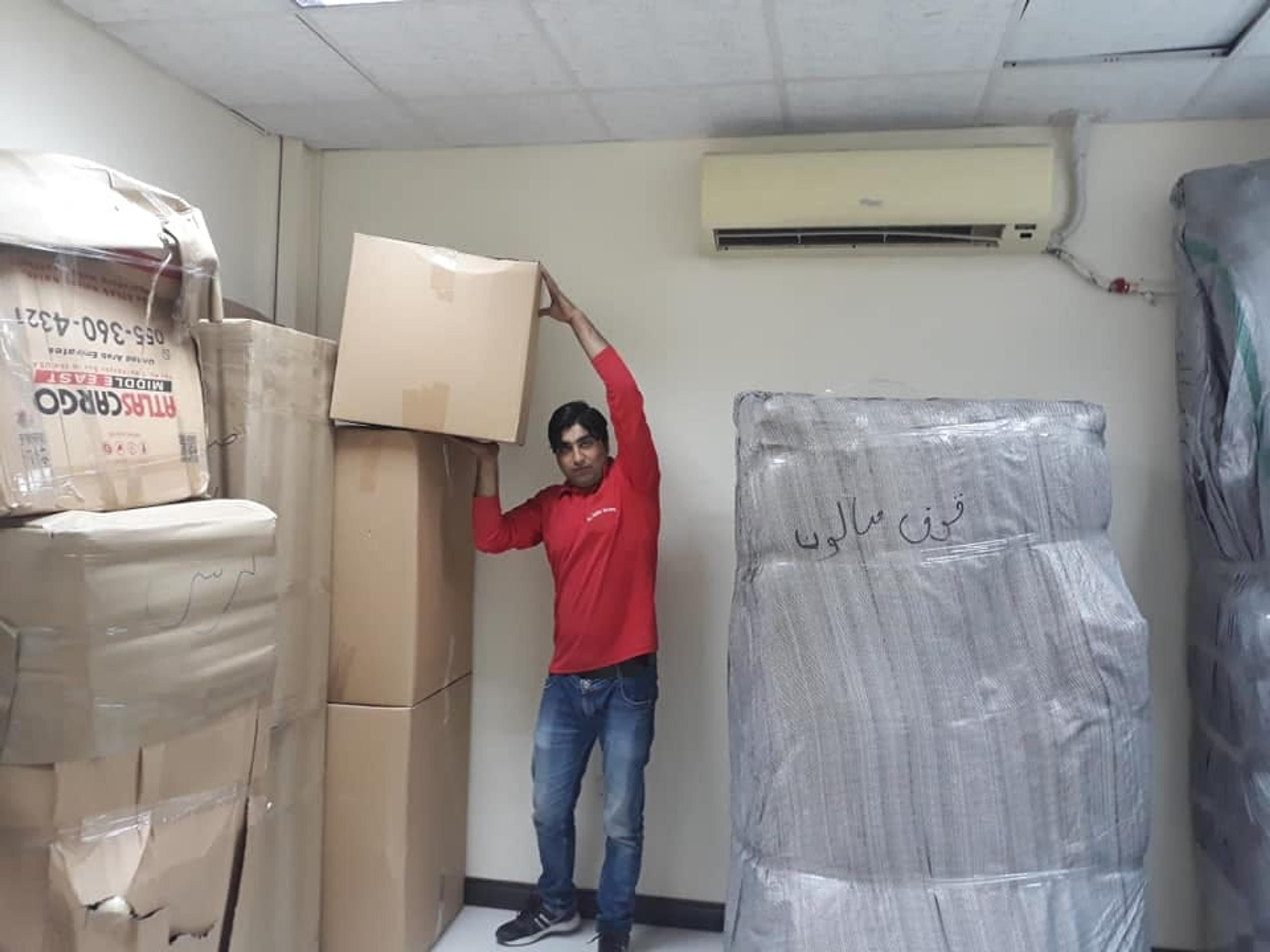 خيول العرب لنقل العفش