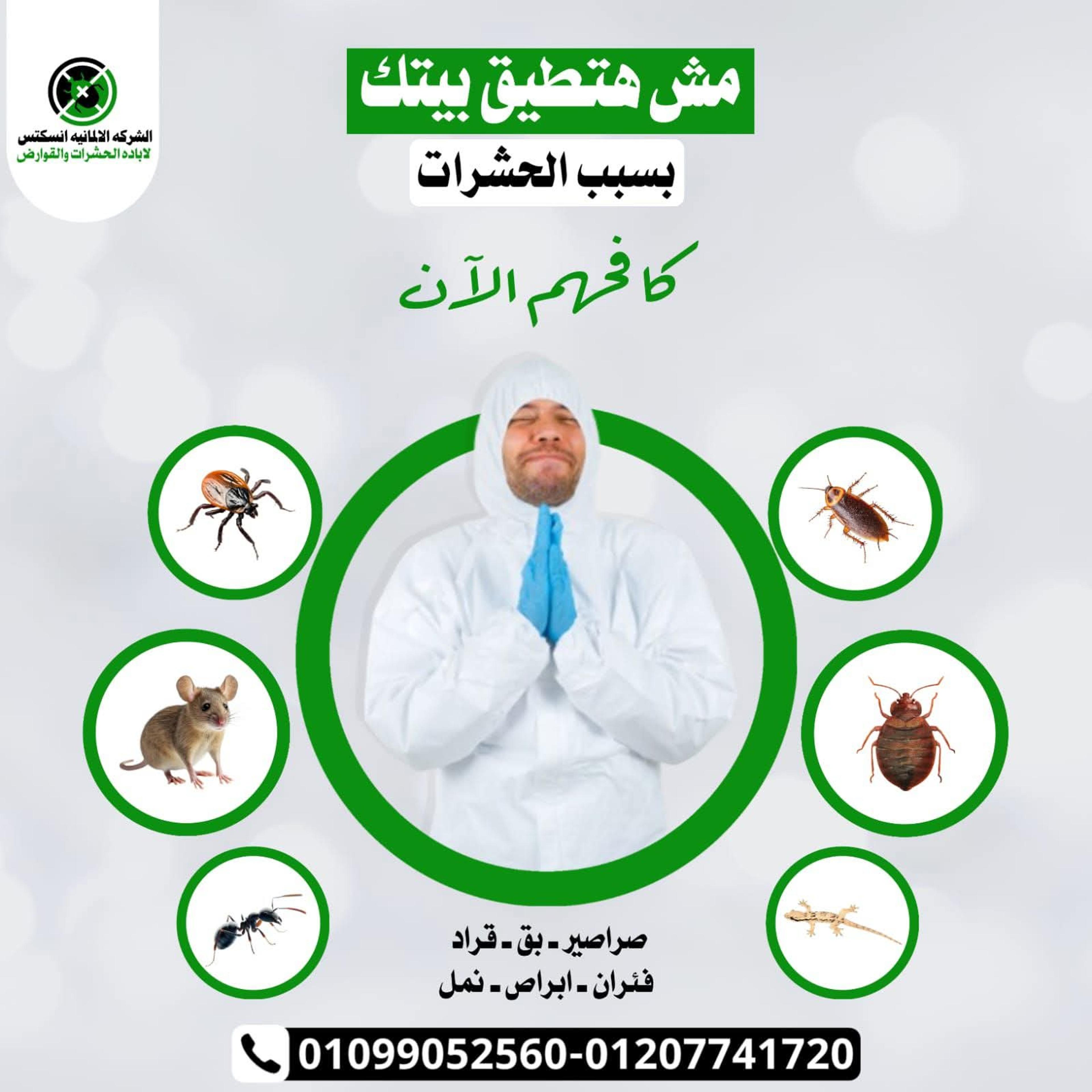 الشركة الالمانية لمكافحة الحشرات