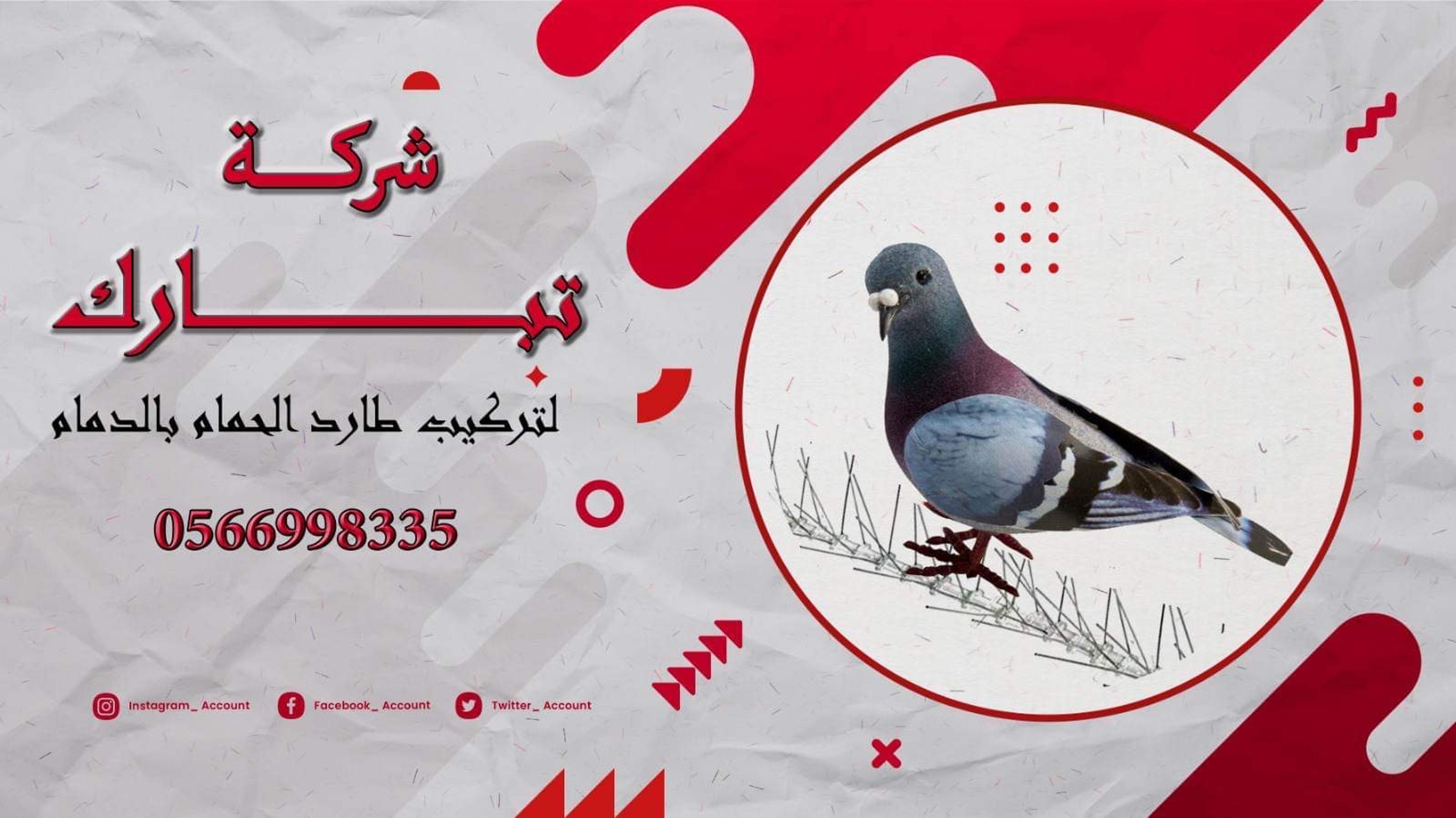 شركة تبارك تركيب اشواك الحمام و مكافحة الحشرات وتنظيف بالدمام والخبر