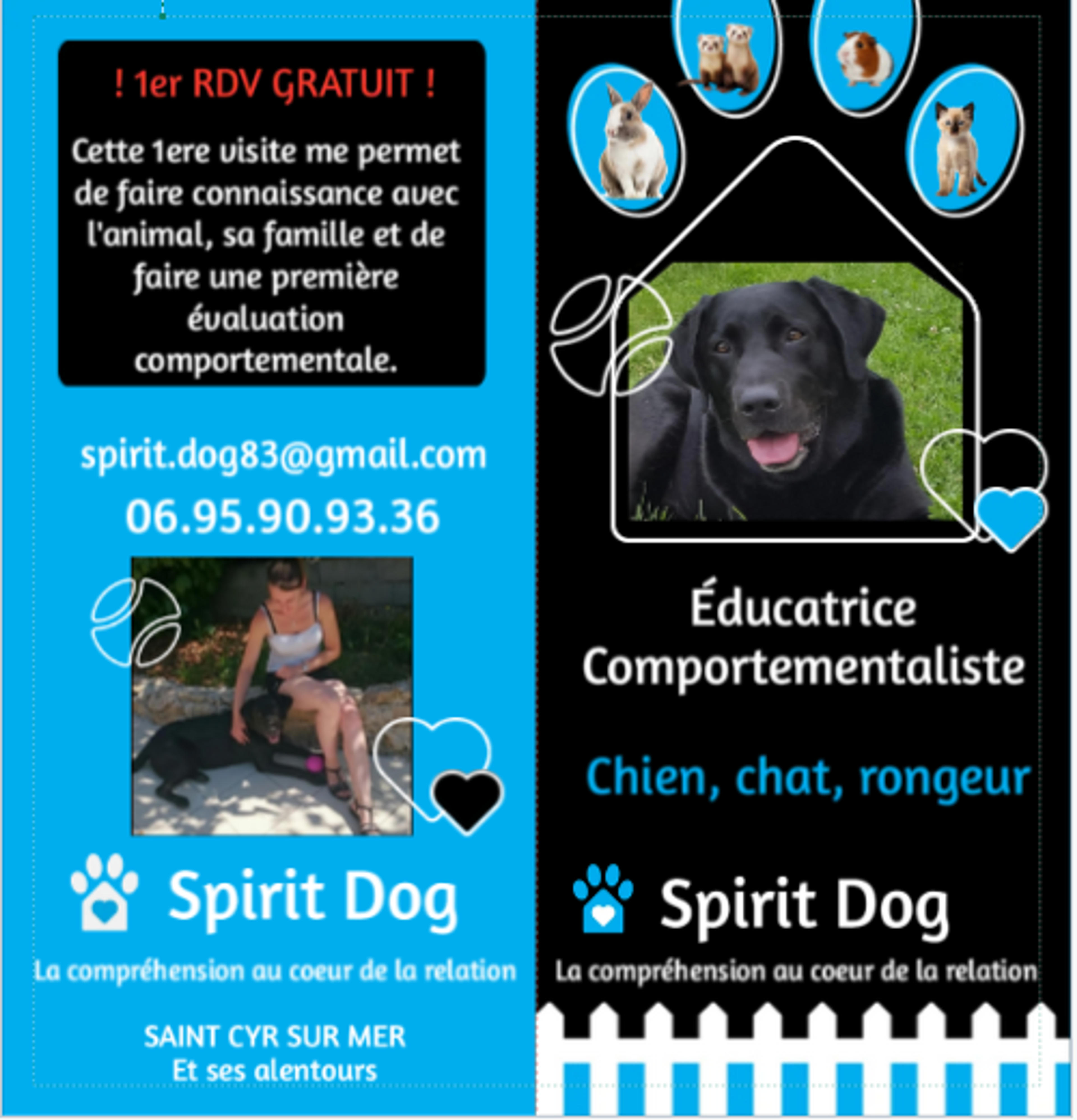 Spirit Dog