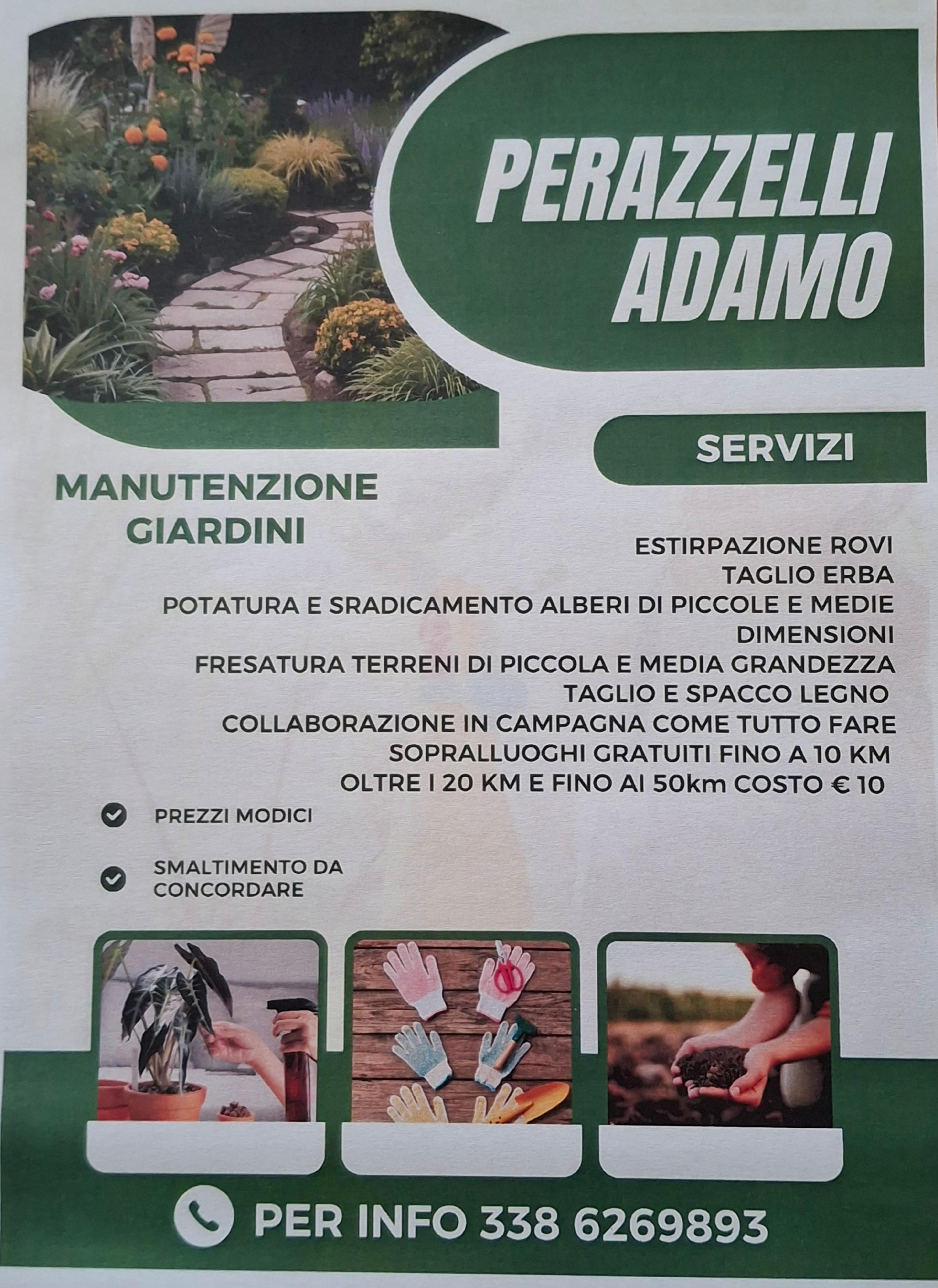 Adamo Perazzelli