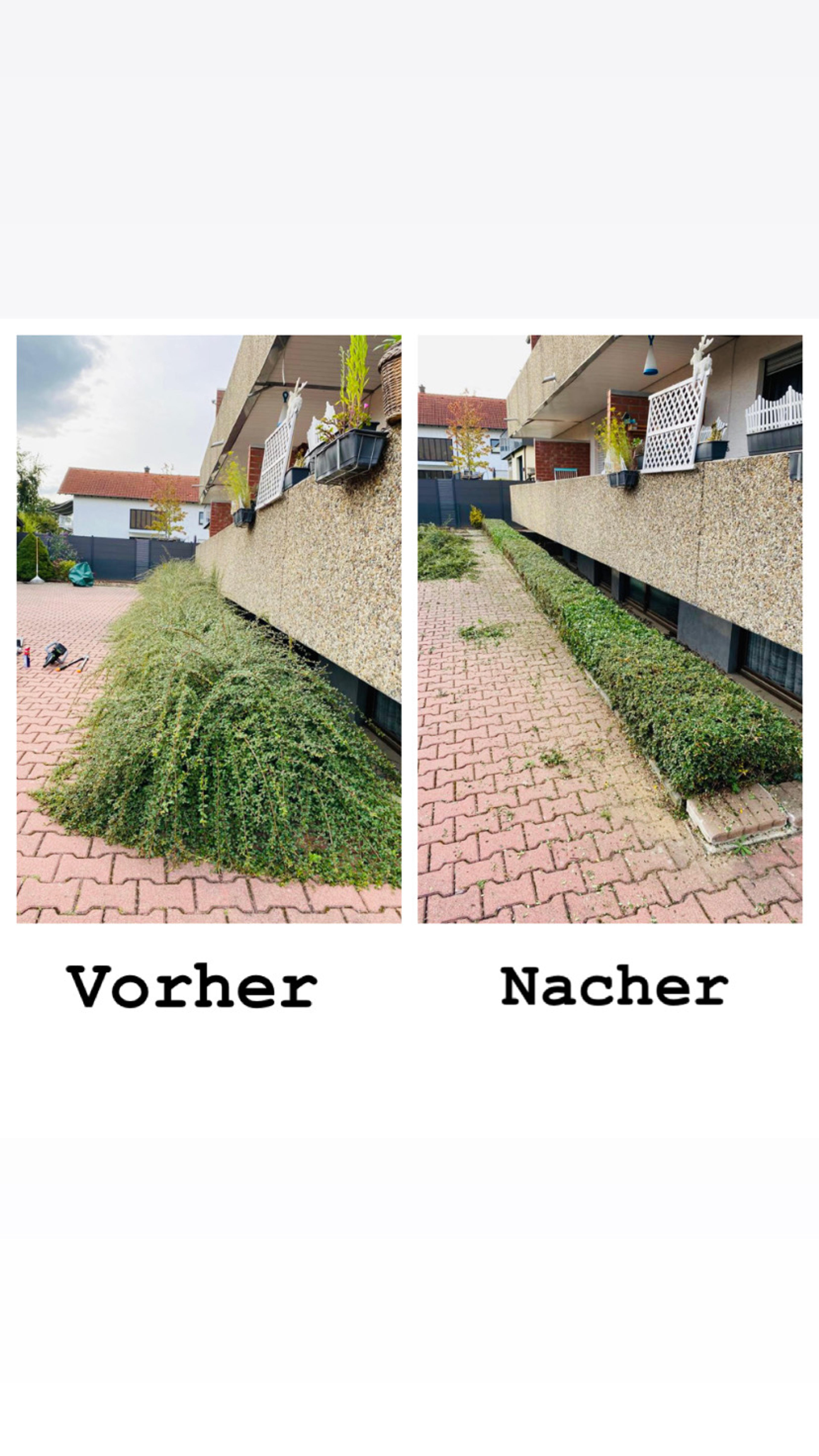 KDV Objektbetreuung