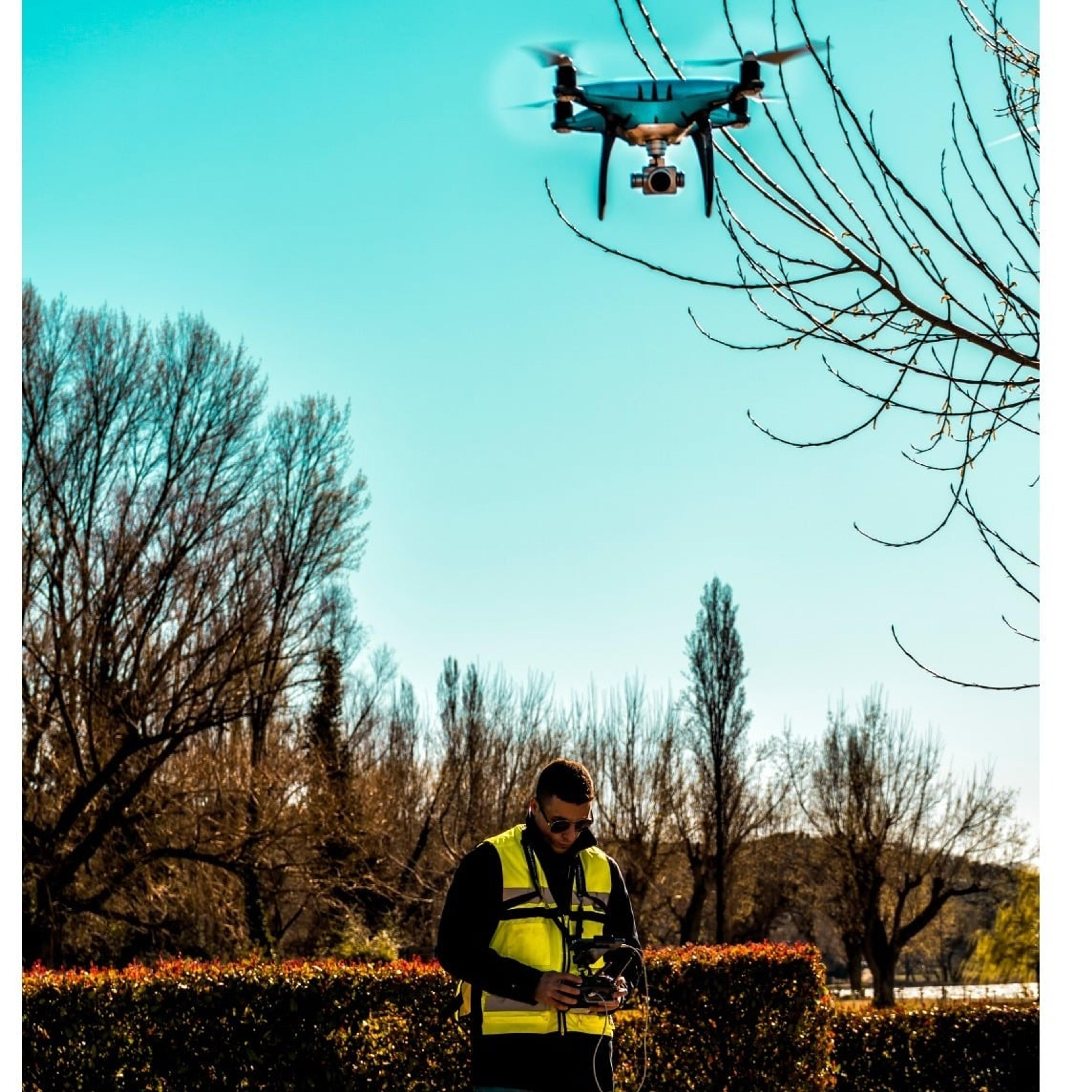 Dronsefly