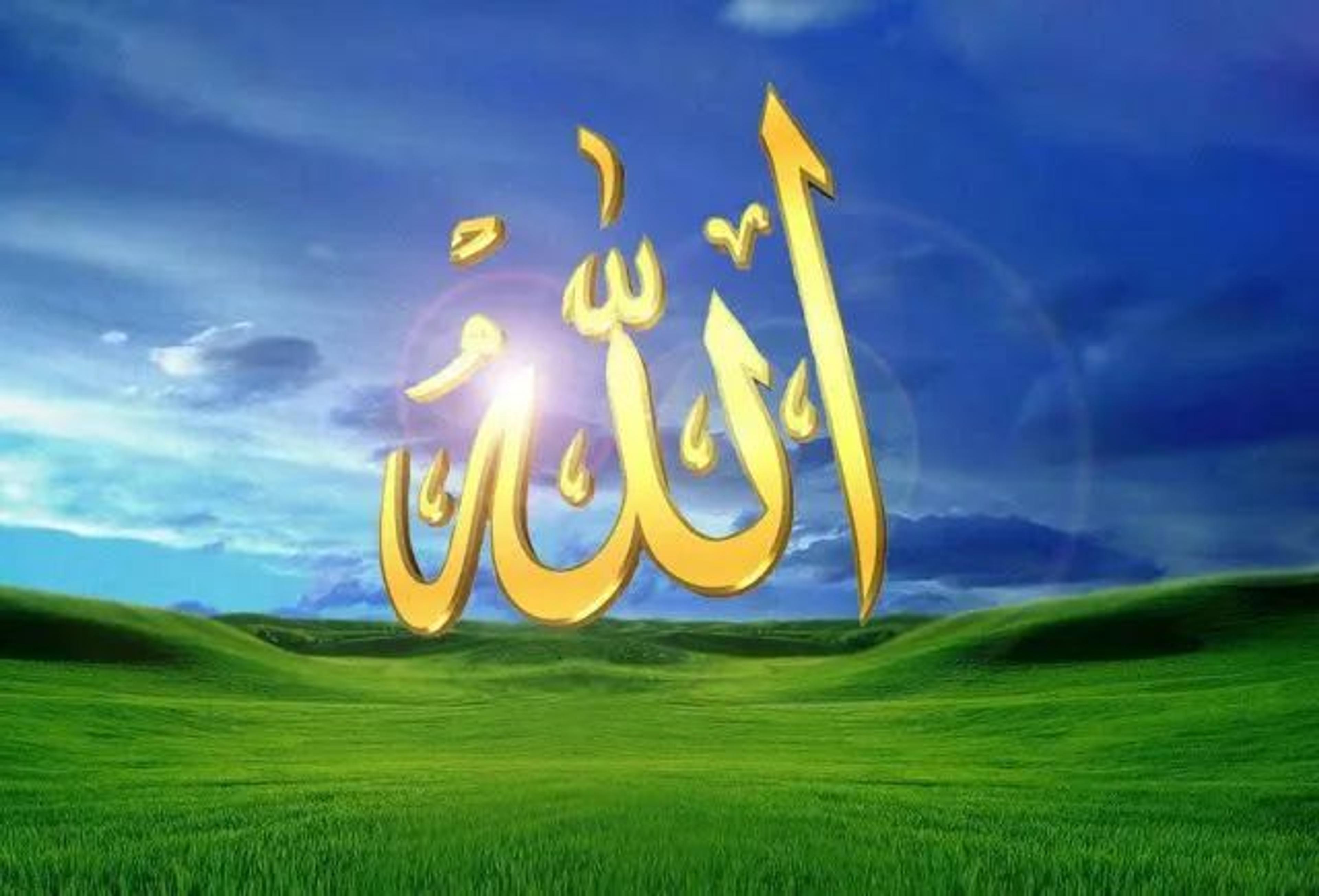 مؤسسة القمه