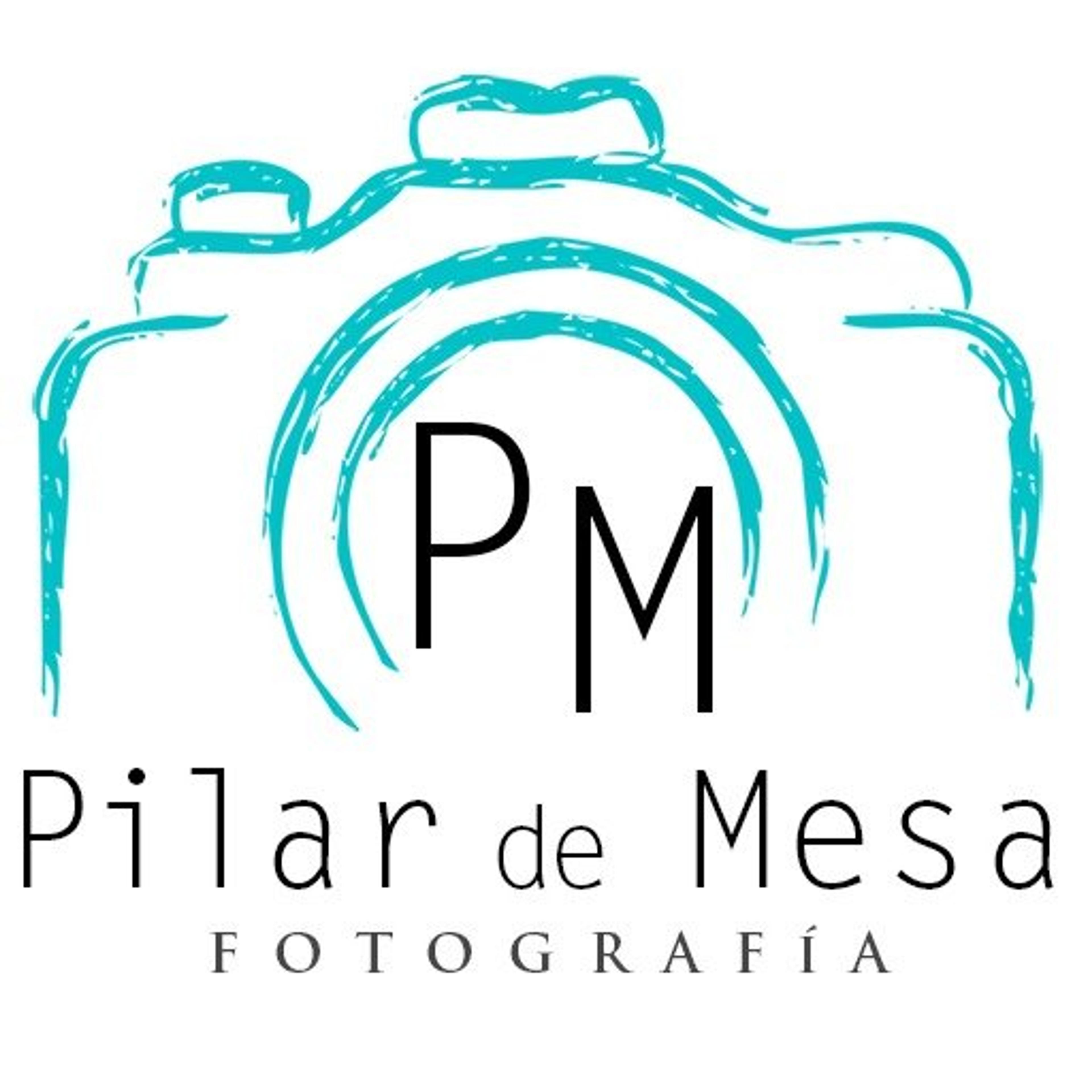 Pilar de Mesa