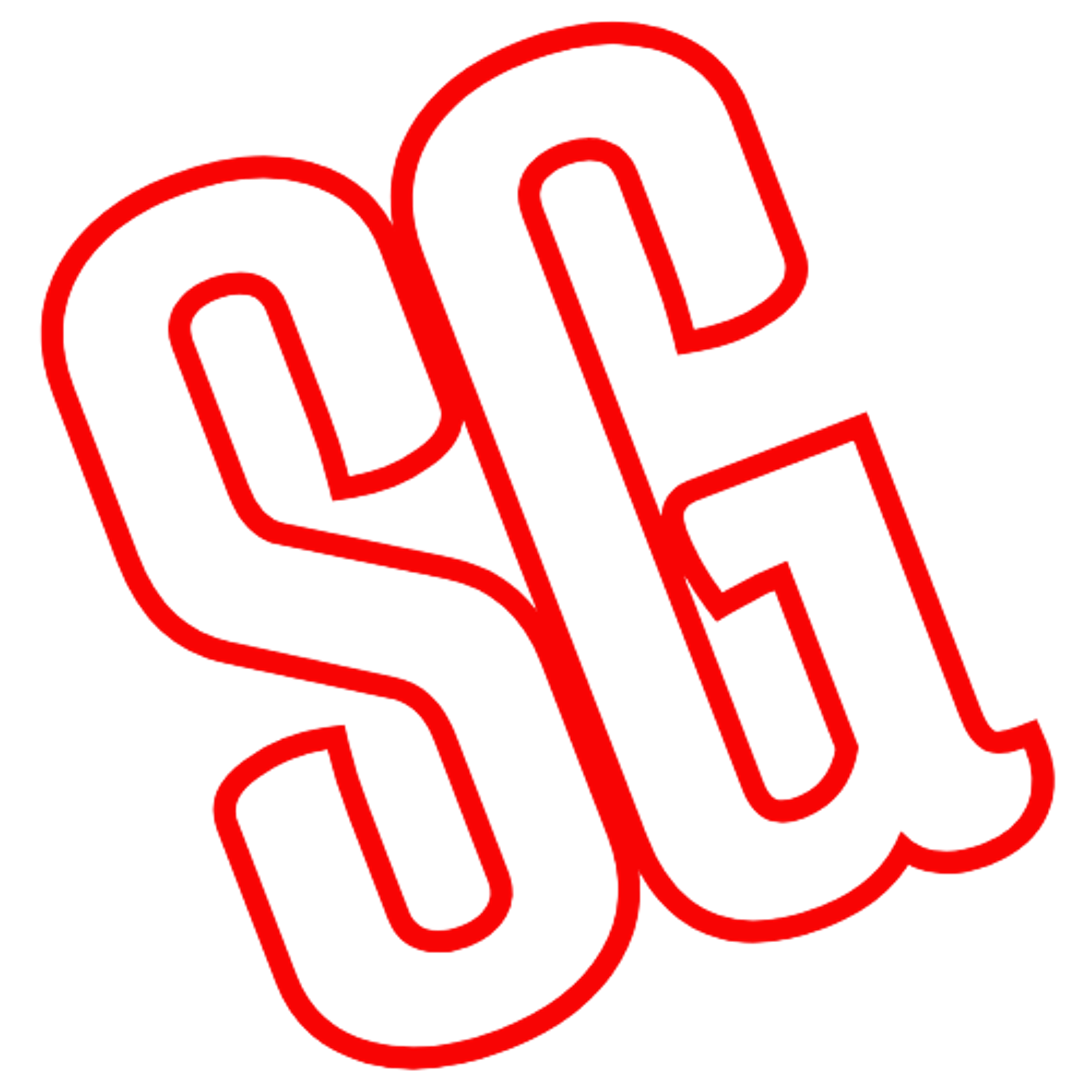 SG RISTRUTTURAZIONI VERONA