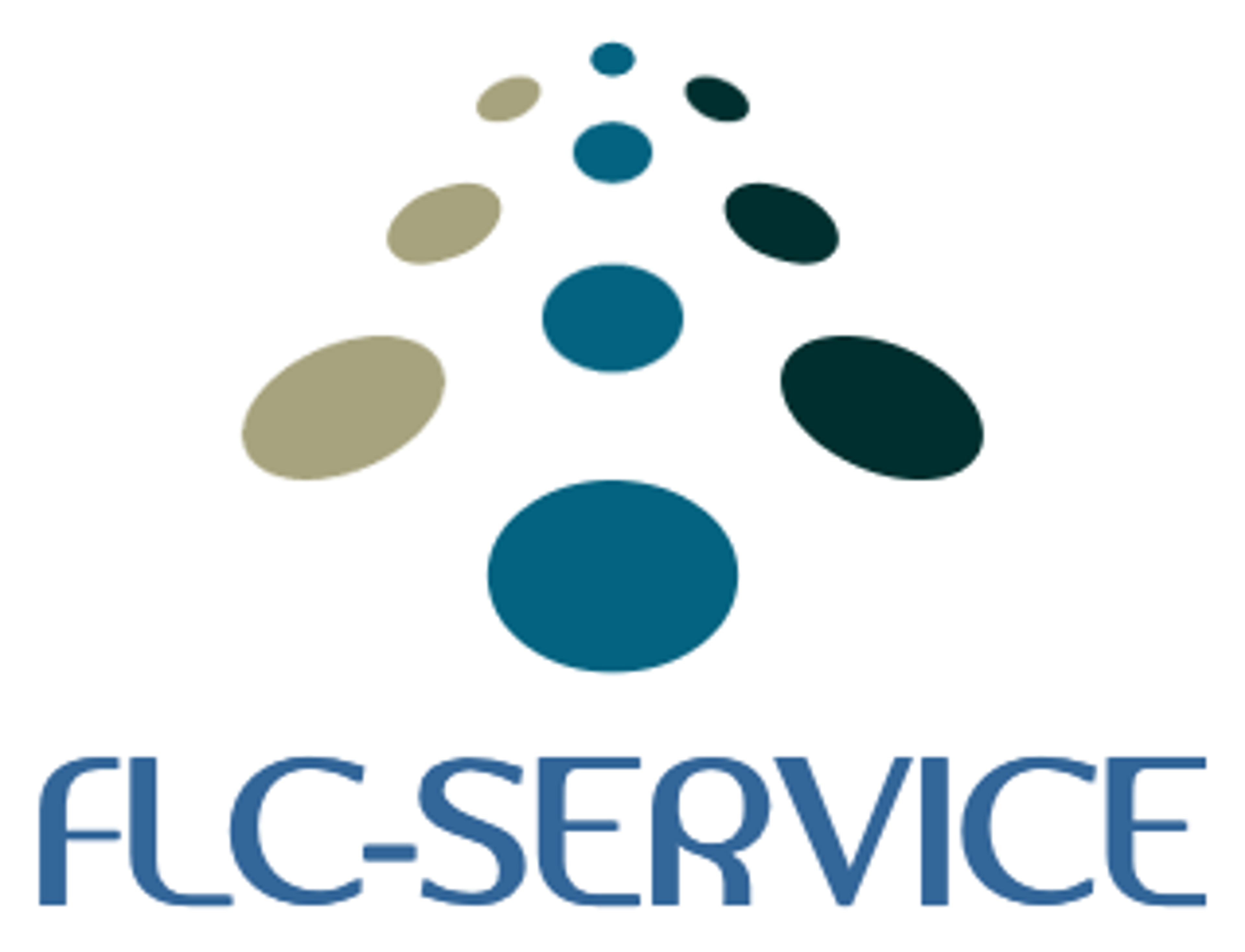 FLC-SERVICE