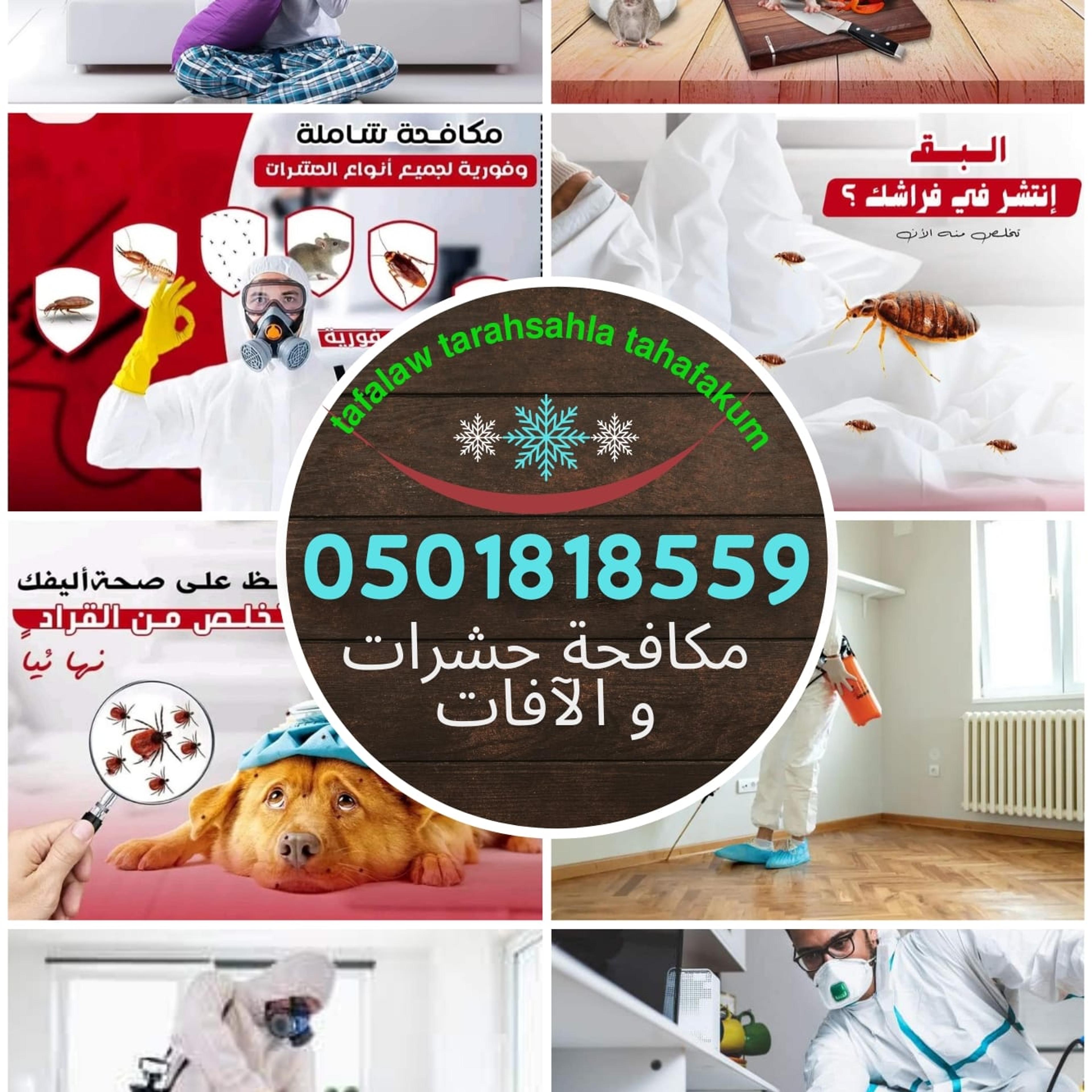 مدار نجد