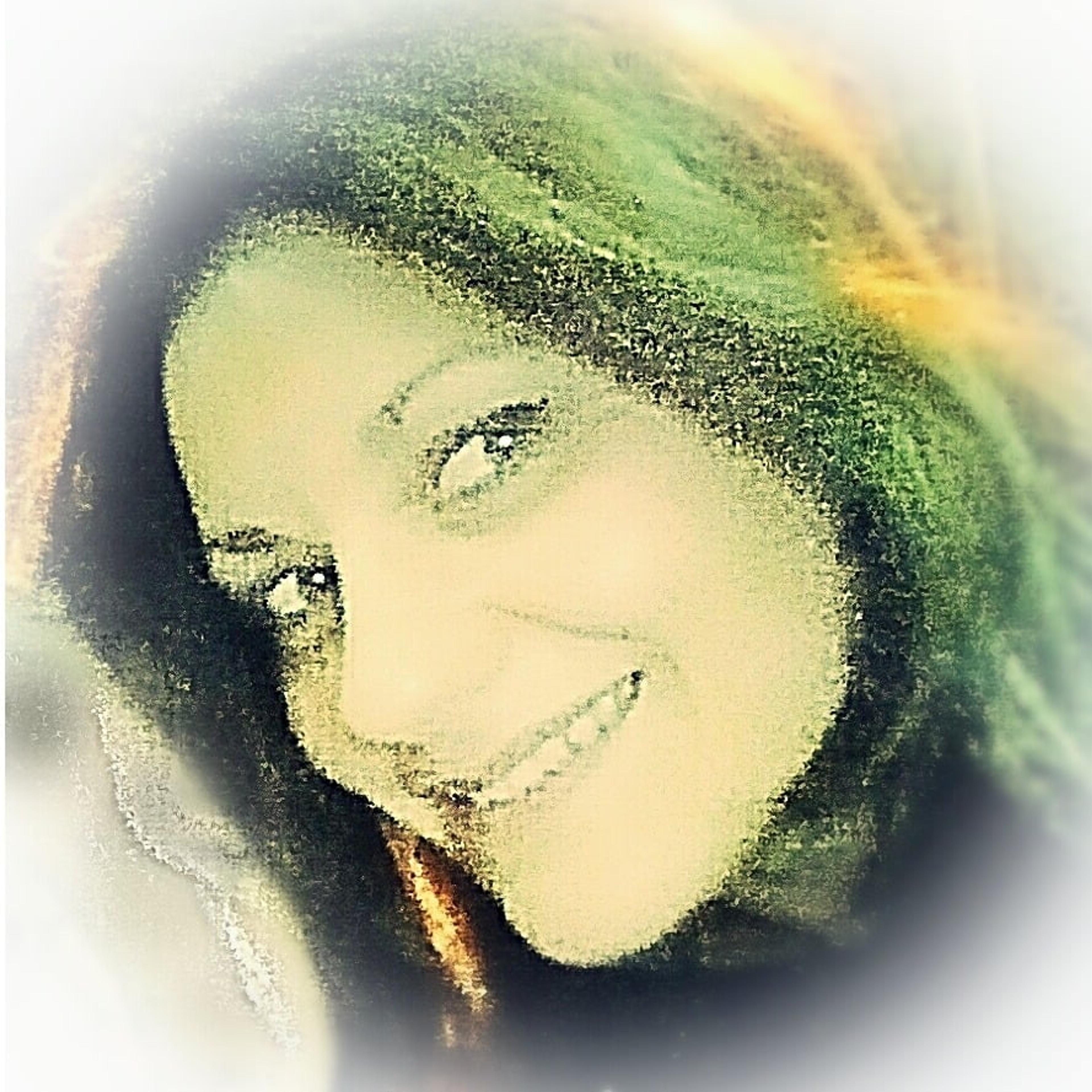 Viviana Fonzeca