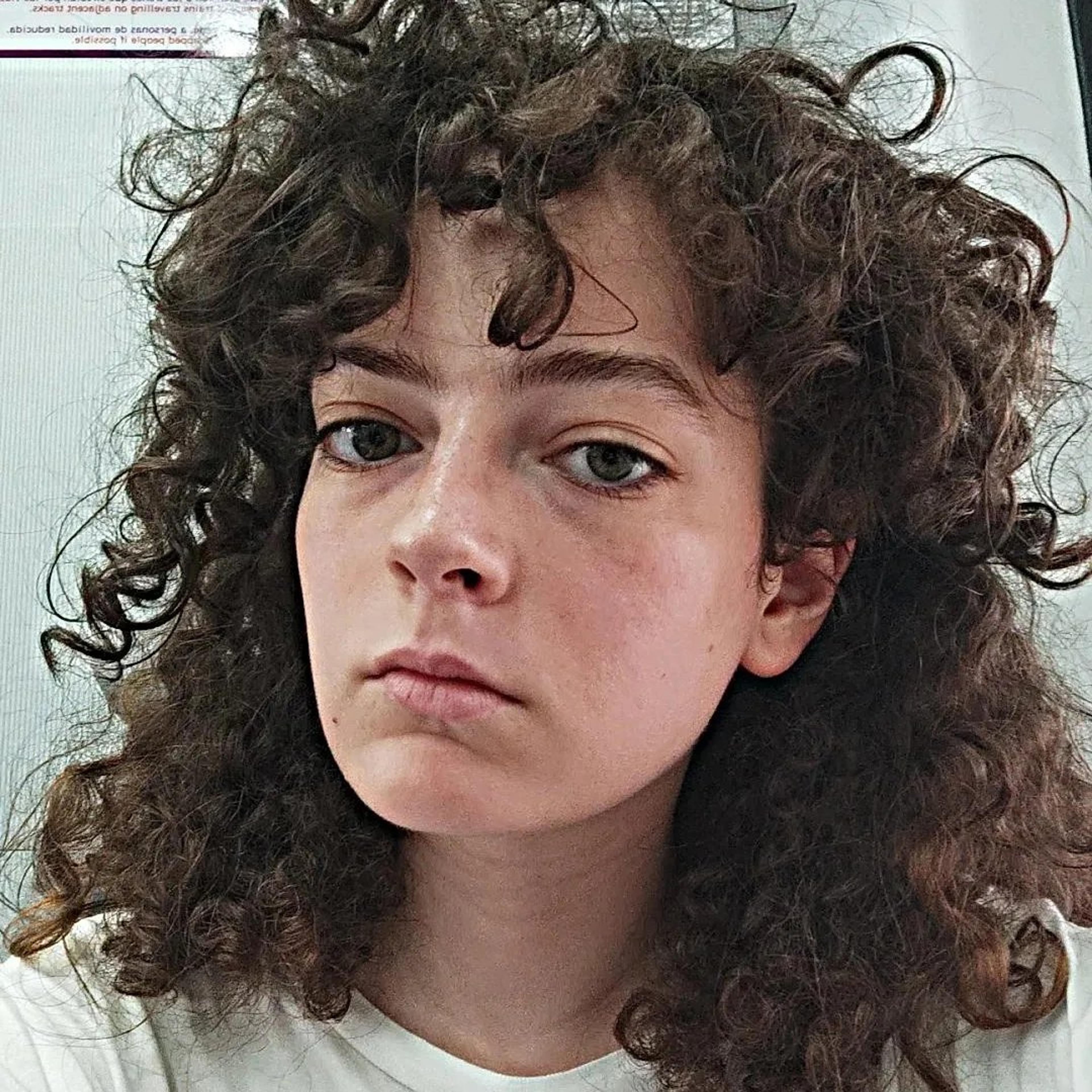 Alicia Merino Pangua