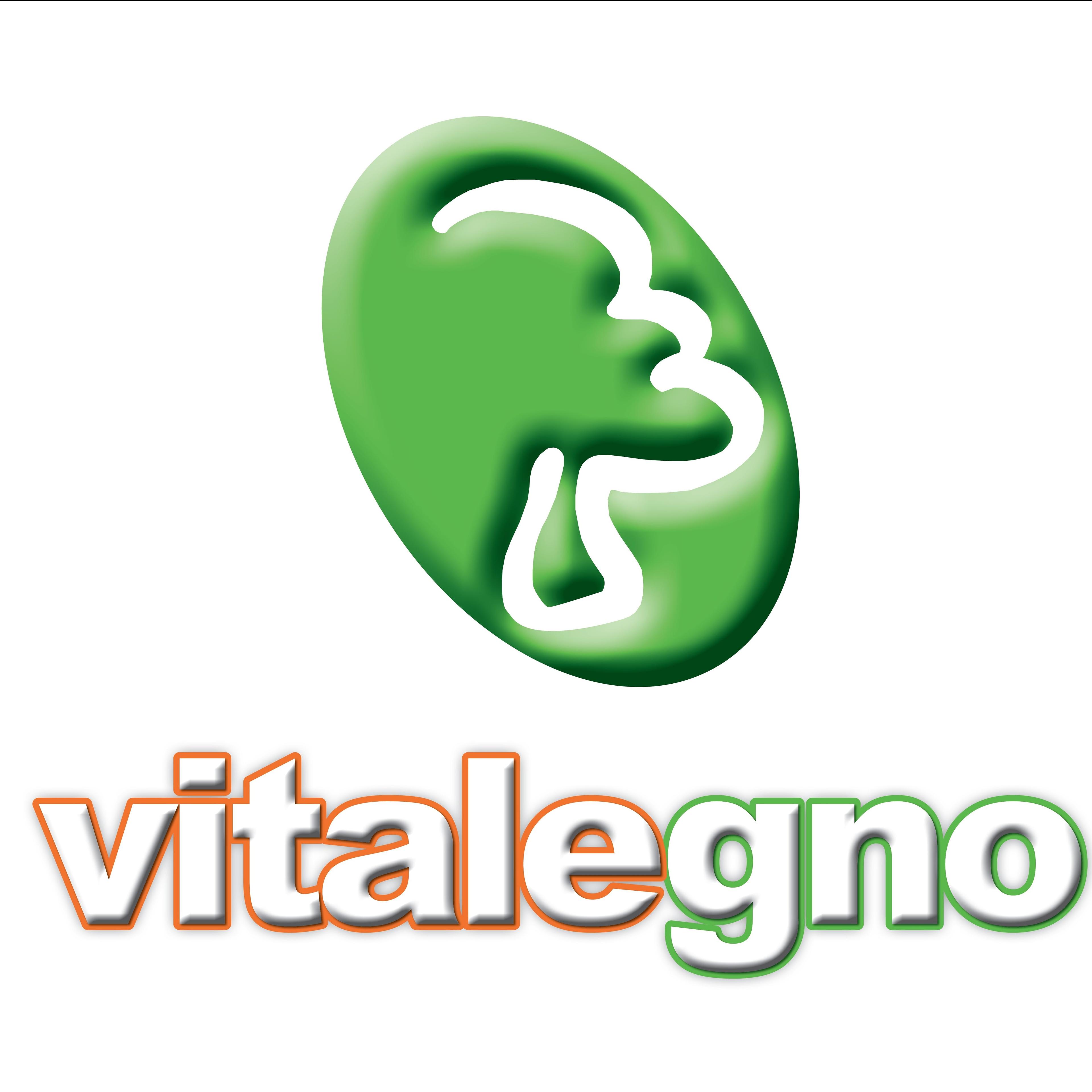 VITALEGNO SISTEMA CASA