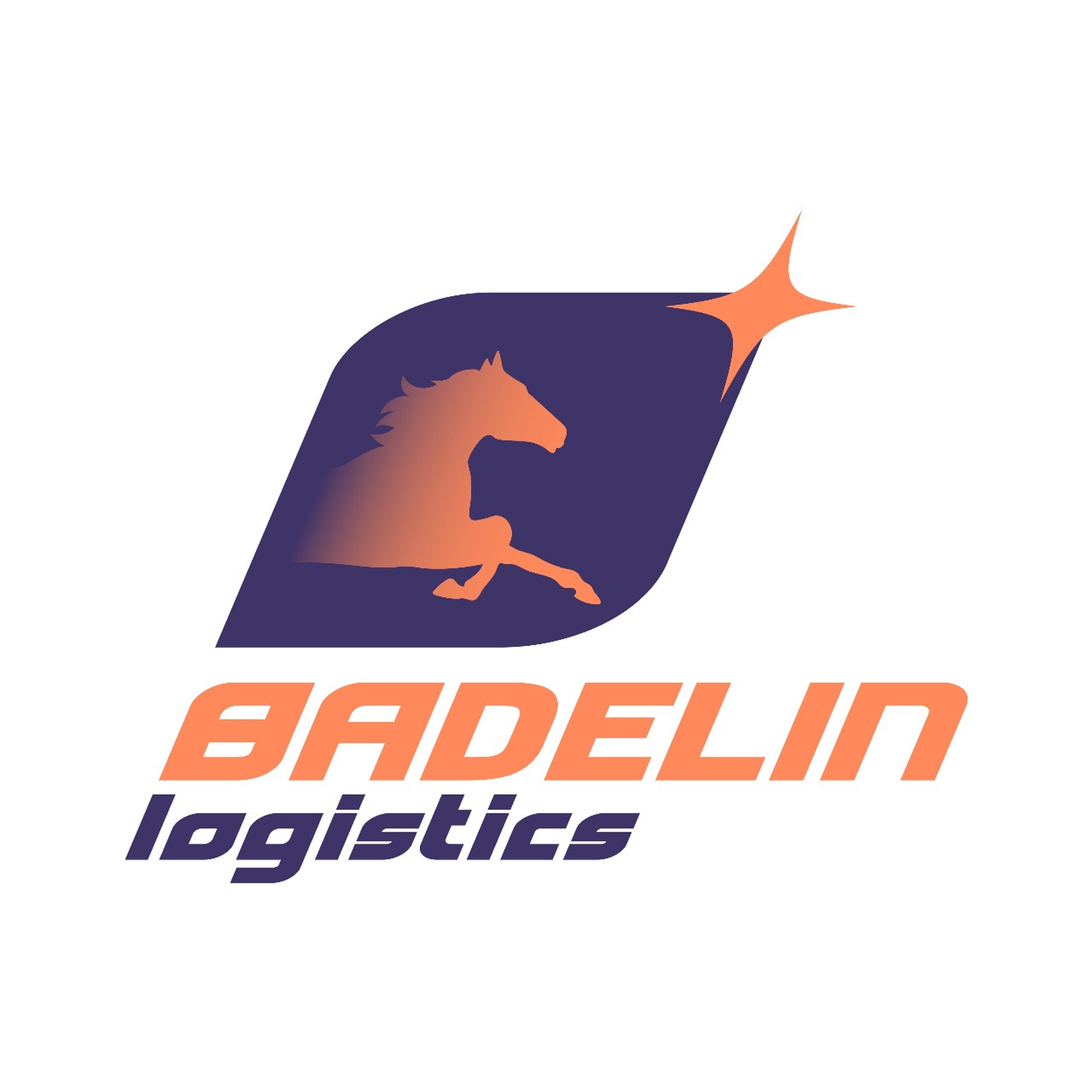 Badelin Logistics LTD