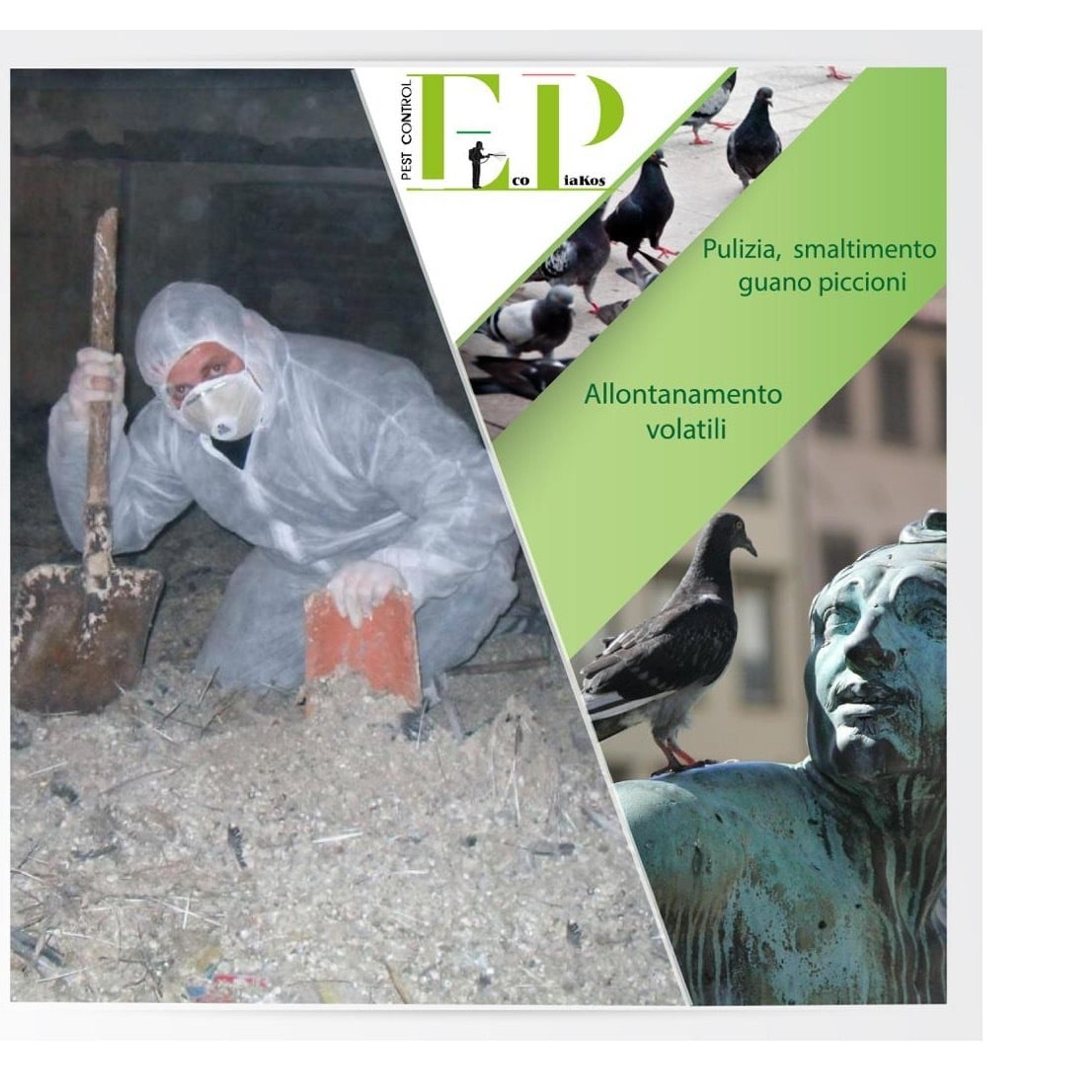 Ecopiakos codice rea