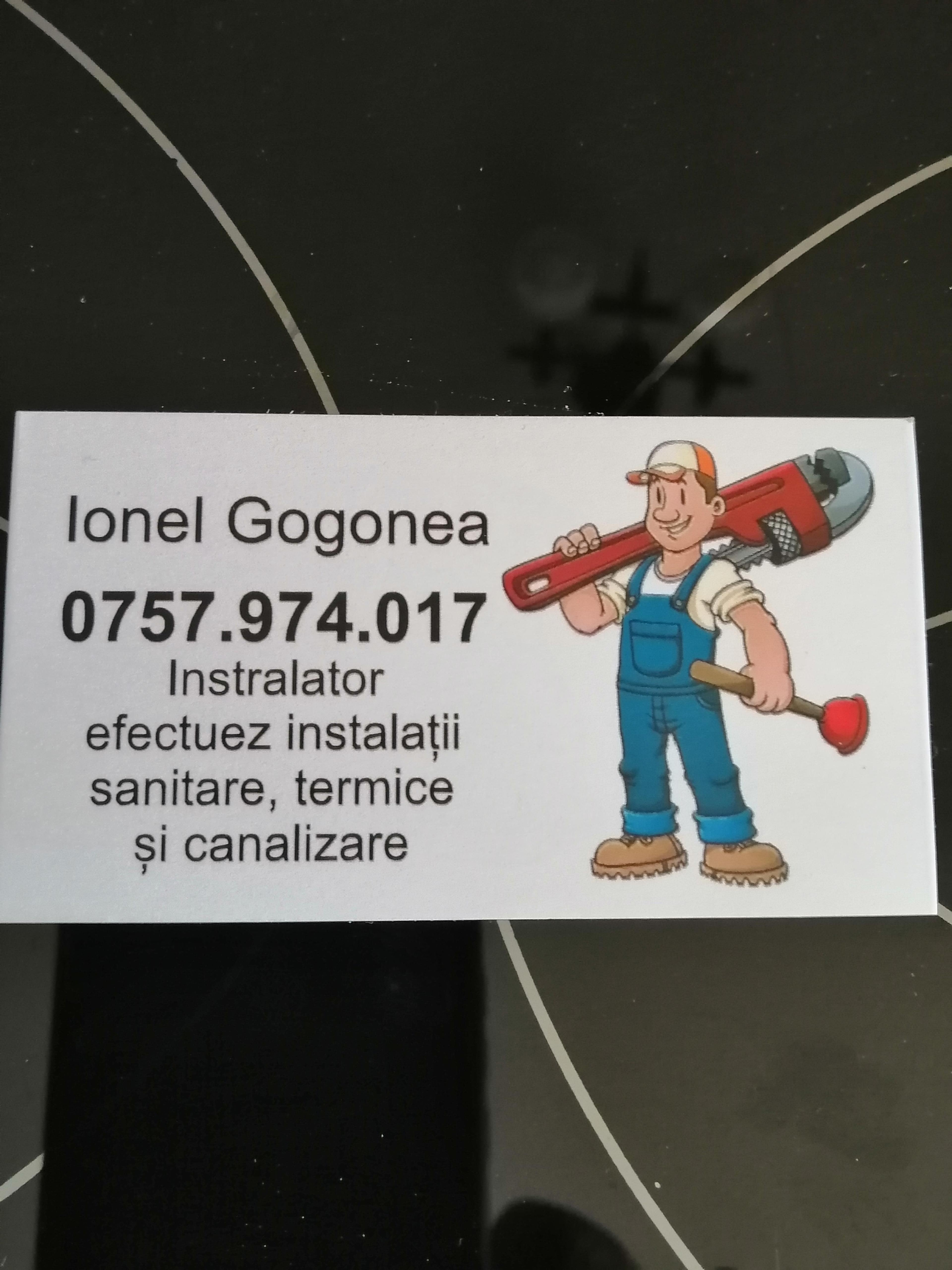 Ionel Gogonea