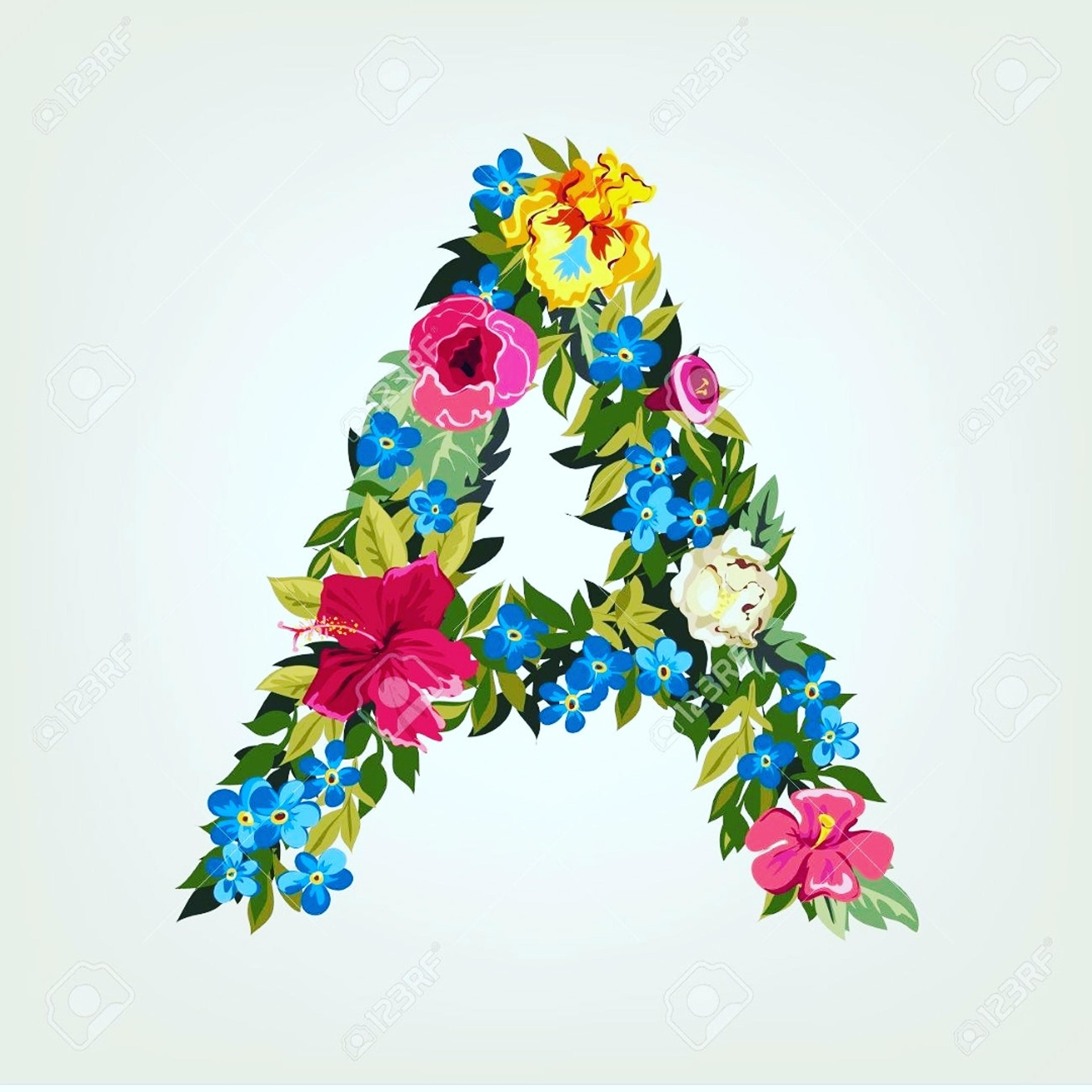 Atabayorganizasyon