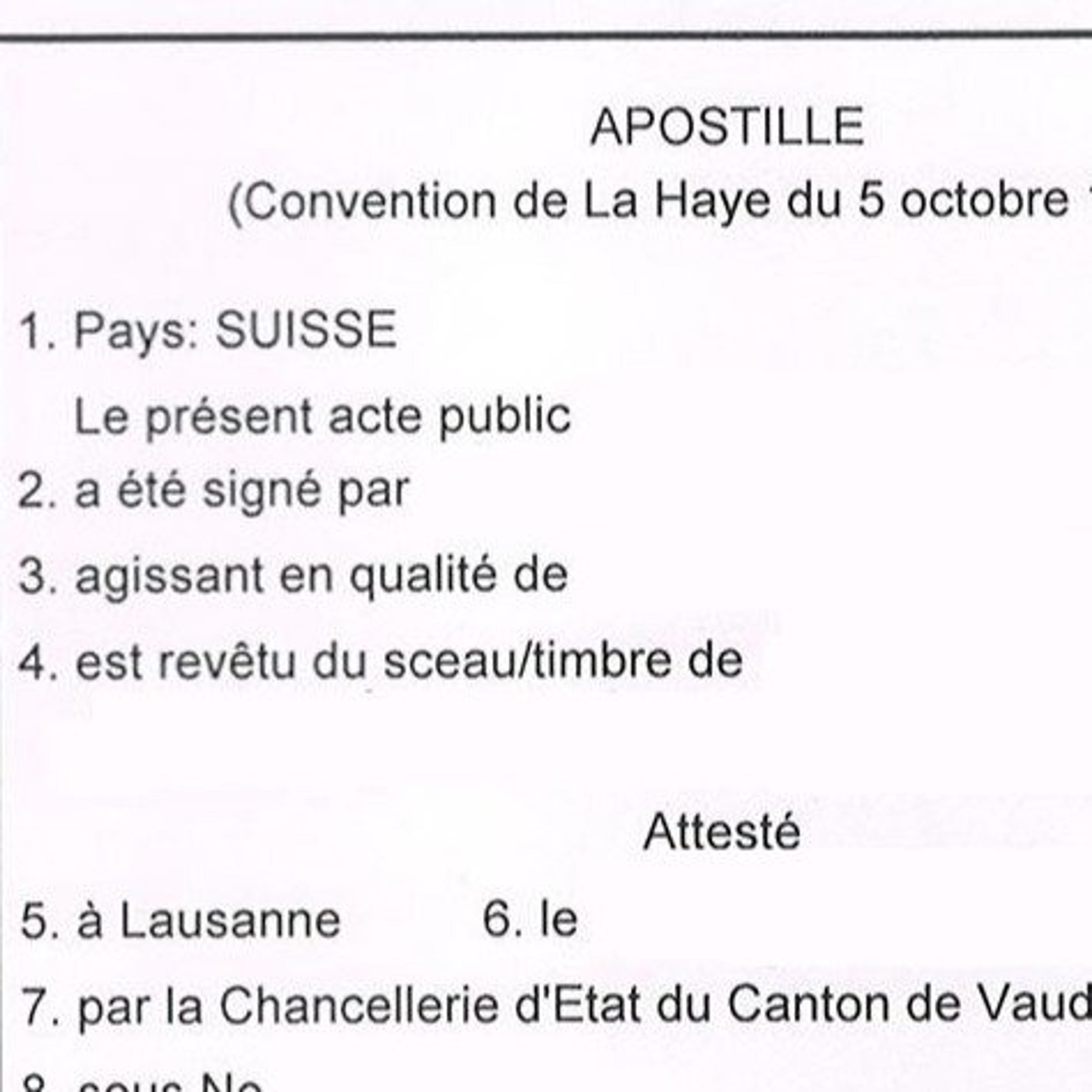 Mani di Fata Cavallinodieci S.r.l.