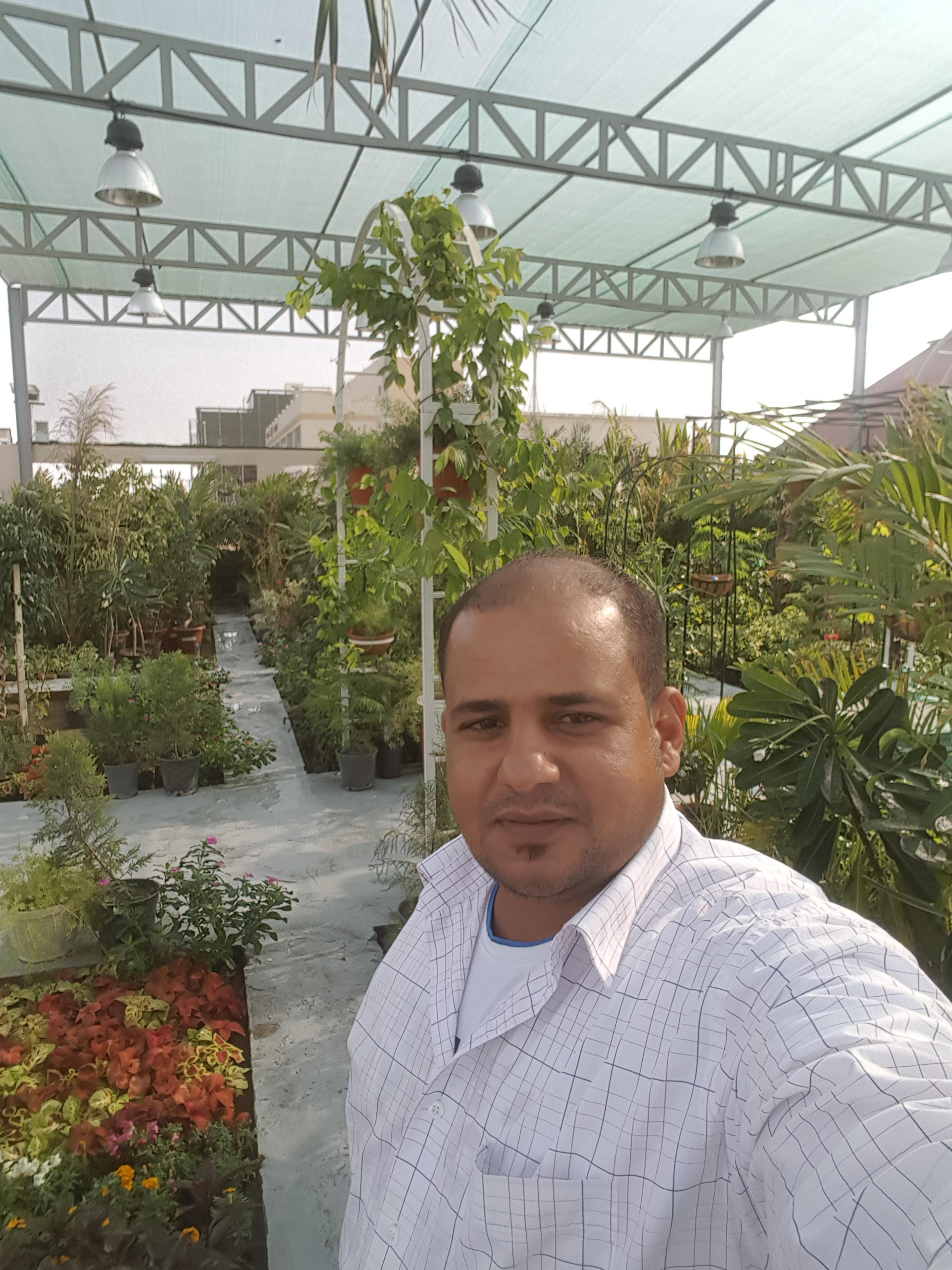 شركة الإبداع لتنسيق الحدائق