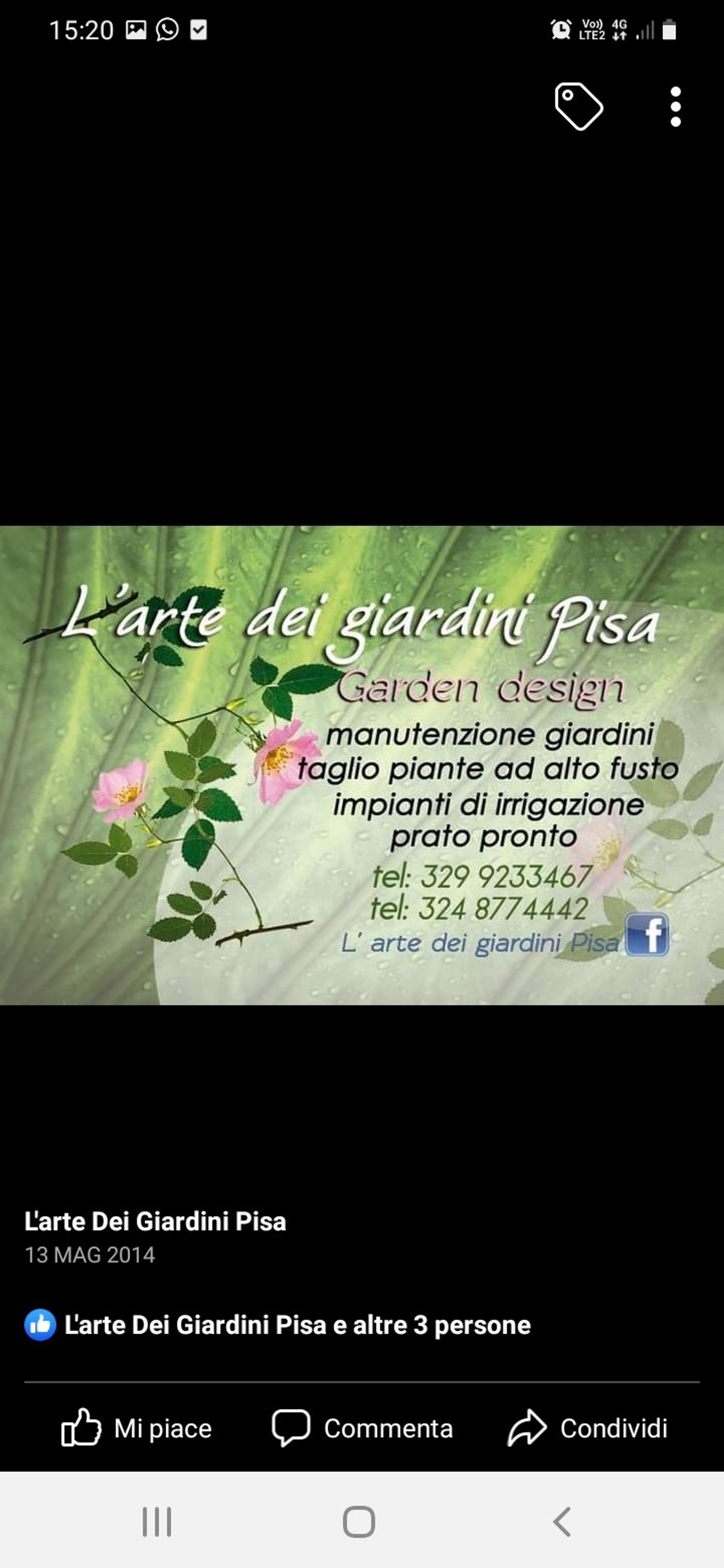 L'arte Dei Giardini Pisa