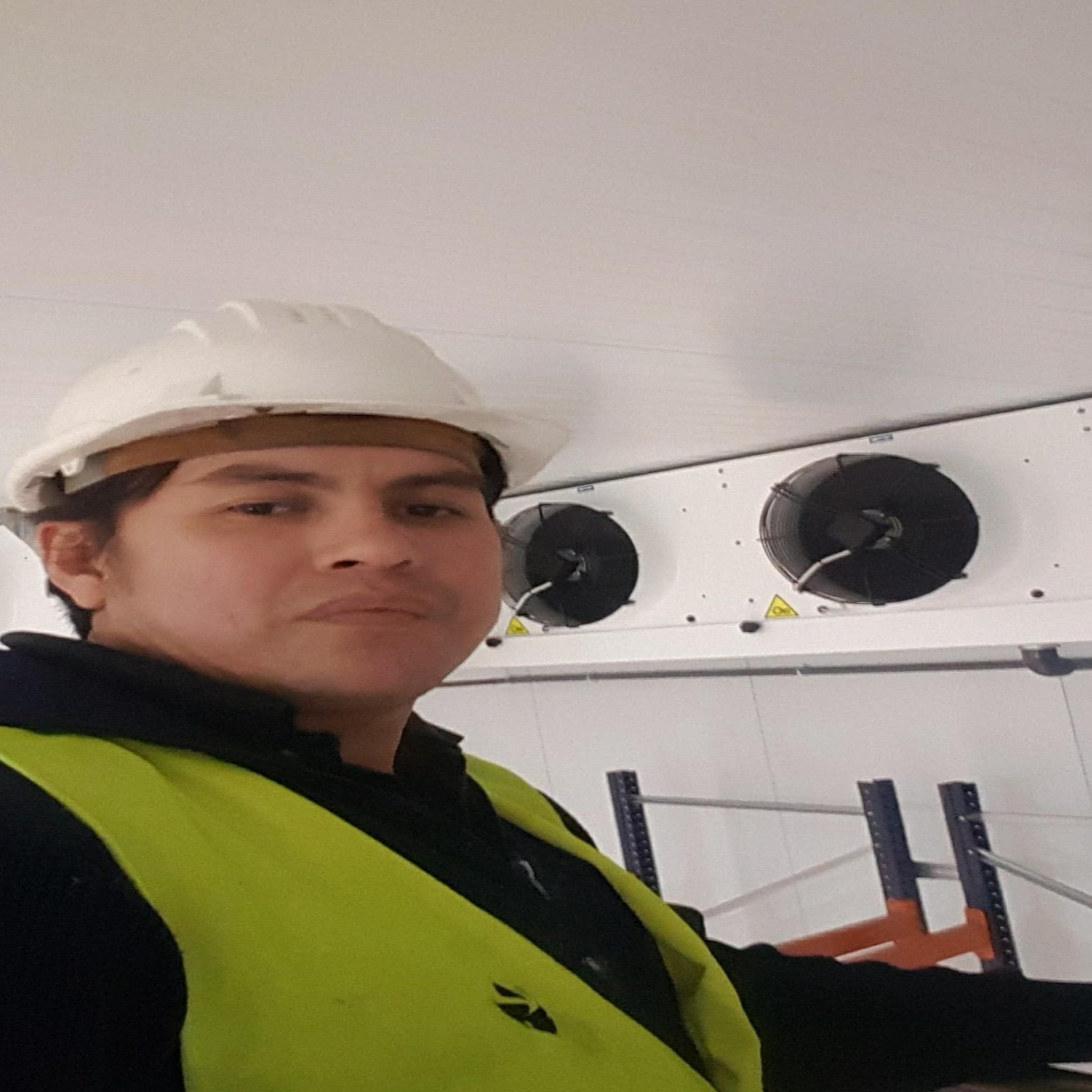 Luis Andres Zarate Gareca