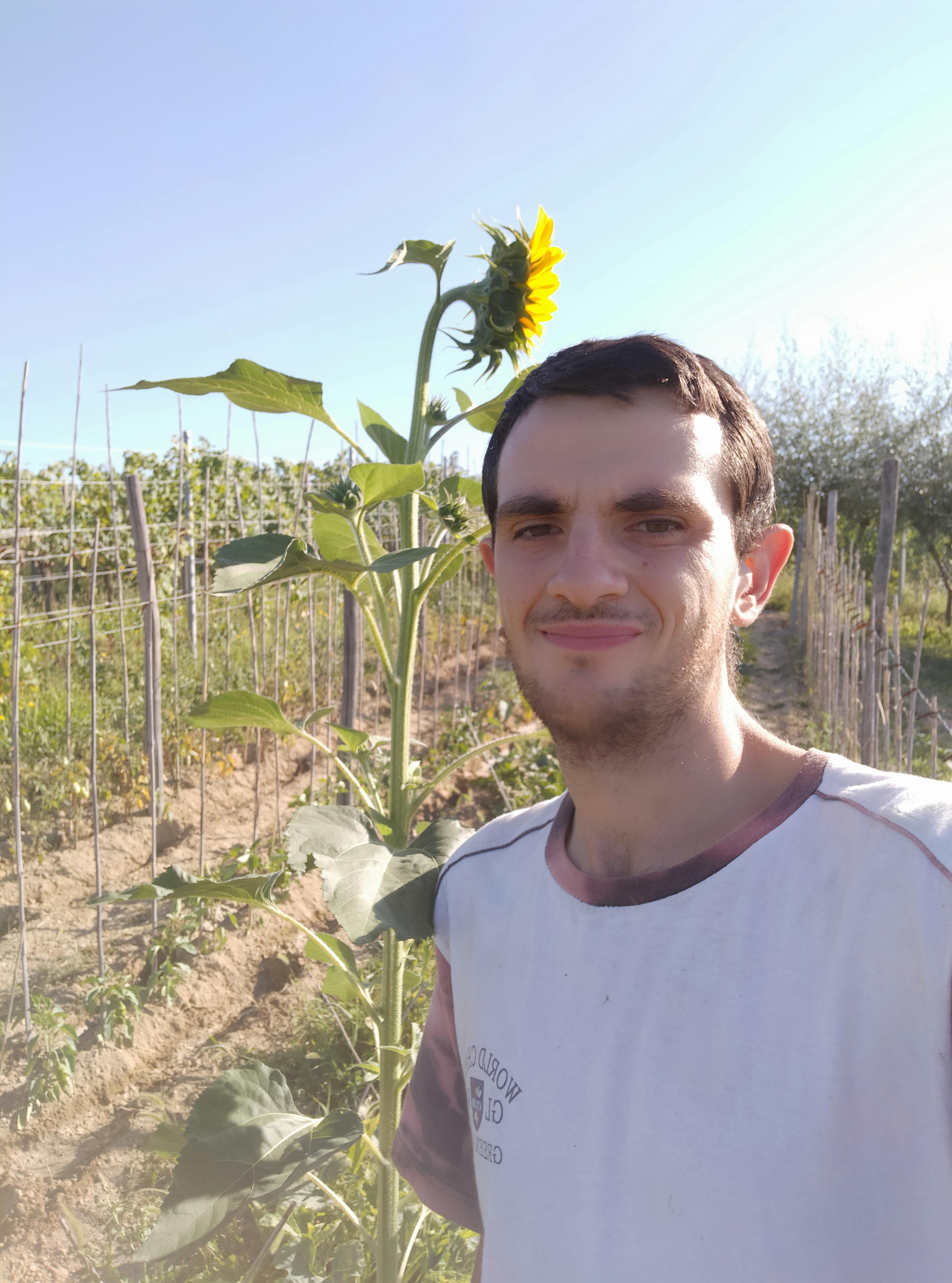 Enrico Bocchino