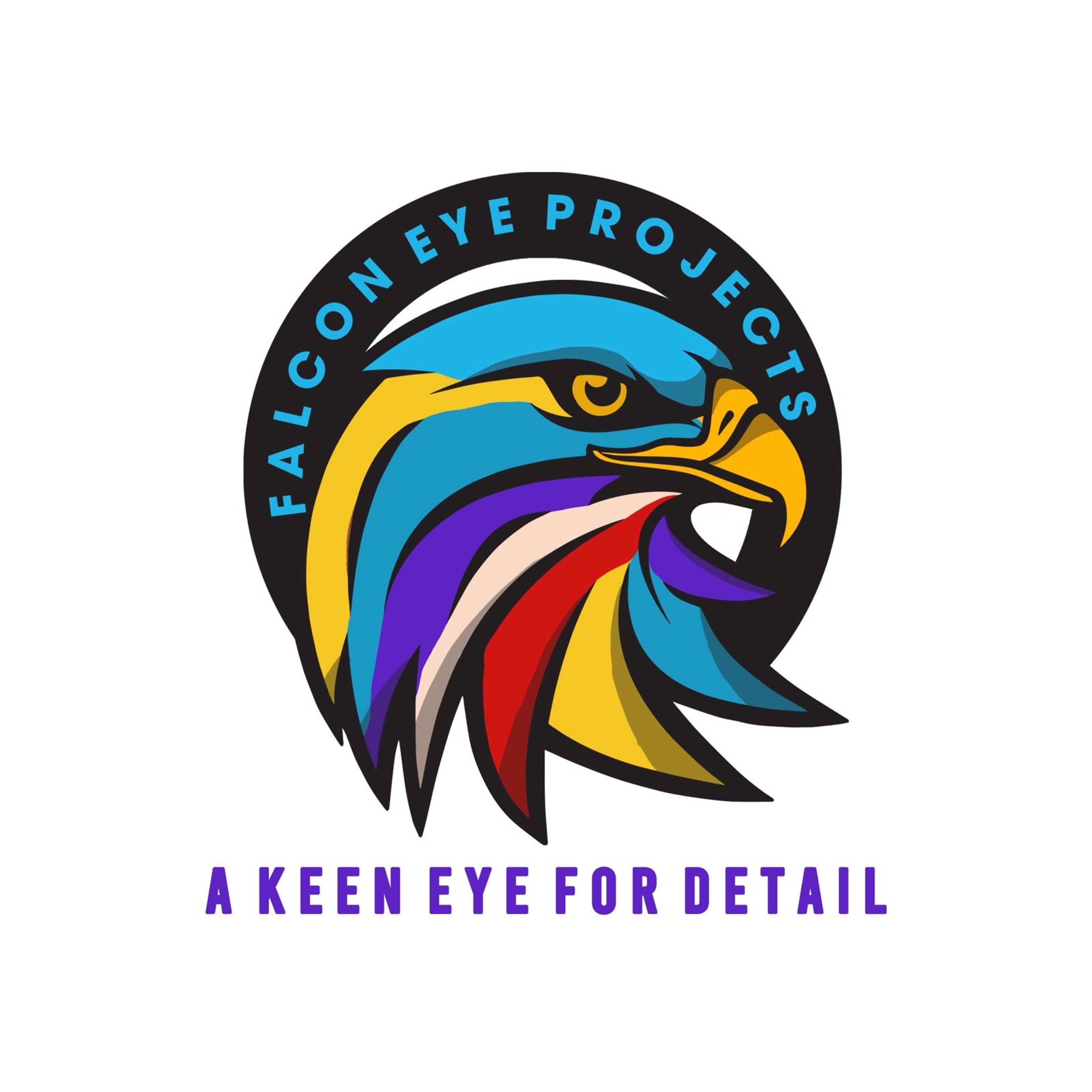 Falcon Eye Projects