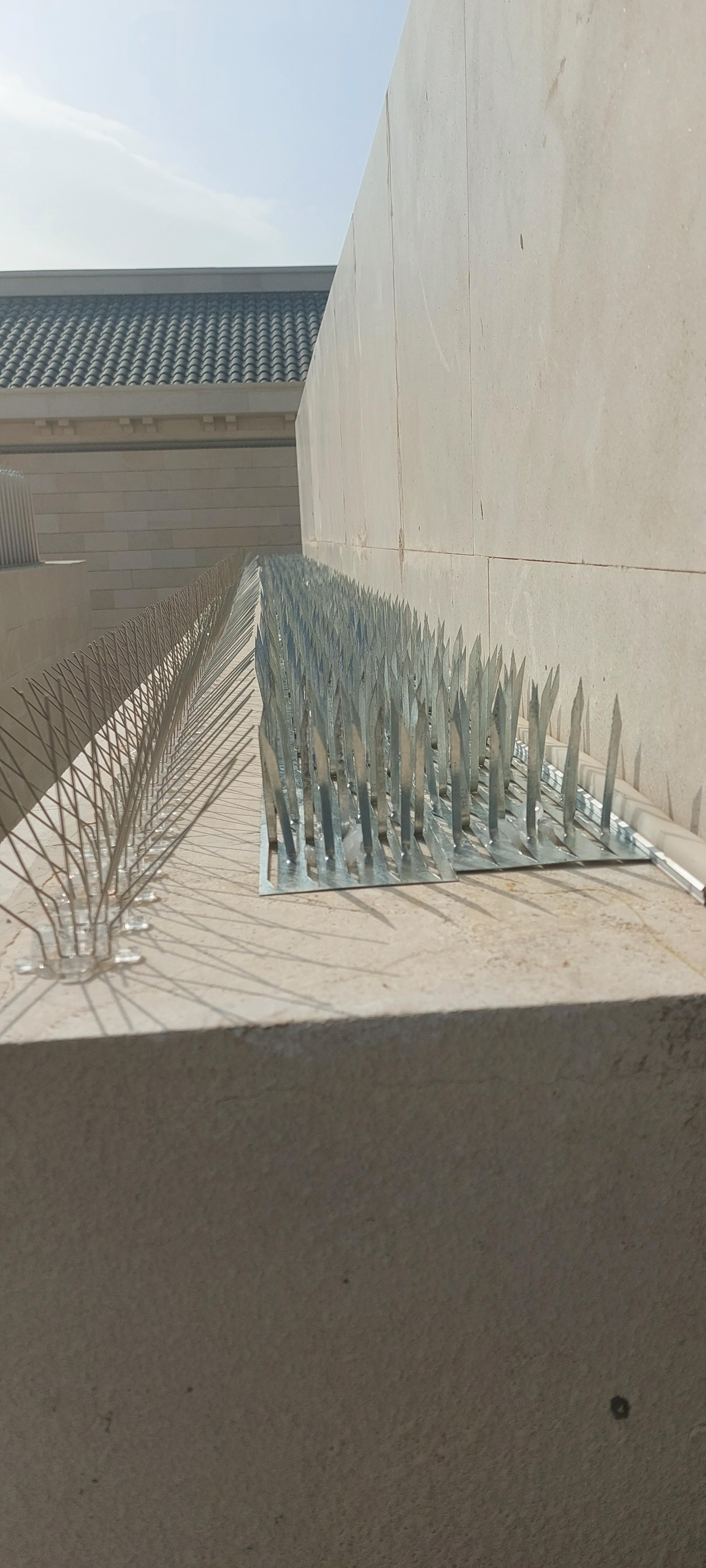 ابشر الانجاز
